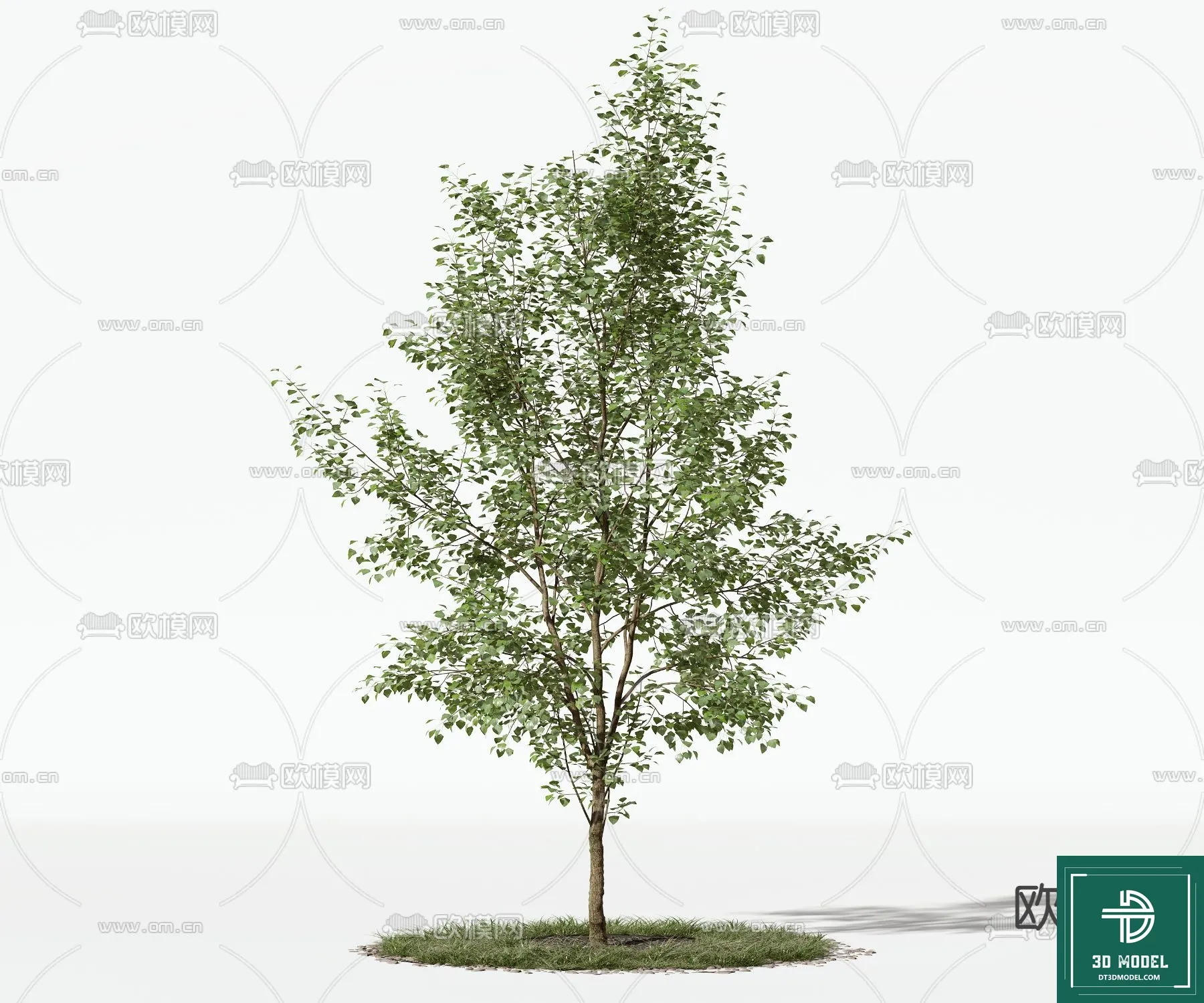 Tree 3D Models - Exterior and Architecture 3DS Max - 130