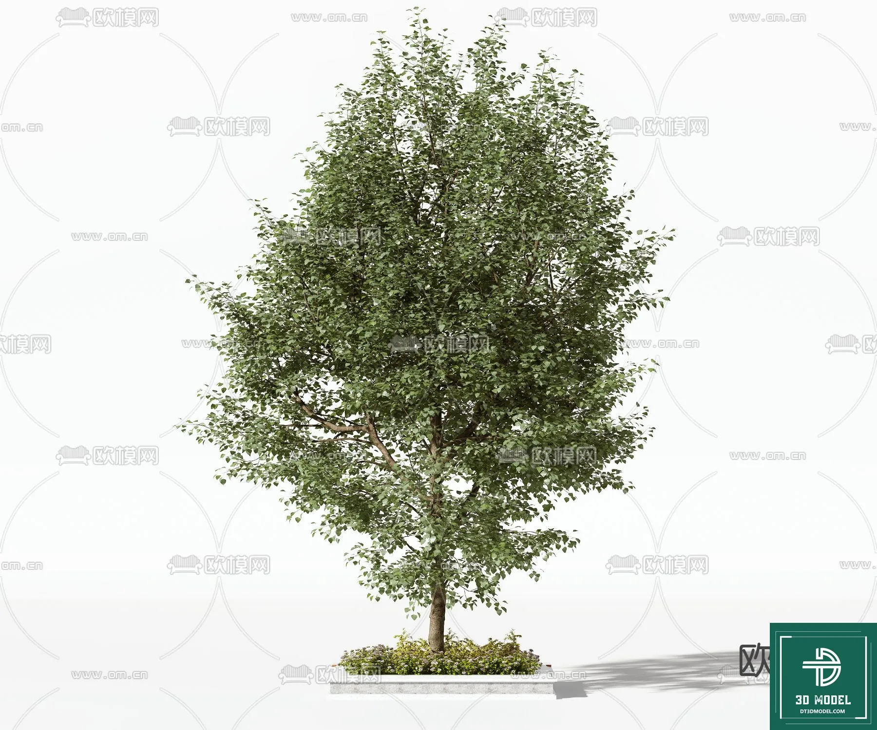 Tree 3D Models - Exterior and Architecture 3DS Max - 131