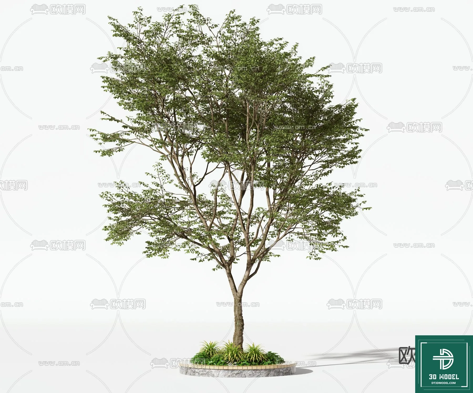 Tree 3D Models - Exterior and Architecture 3DS Max - 134