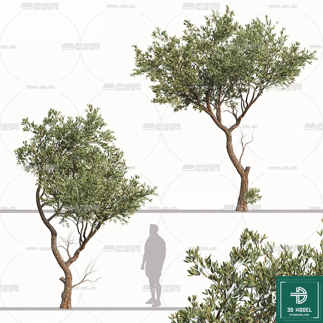 Tree 3D Models - Exterior and Architecture 3DS Max - 139
