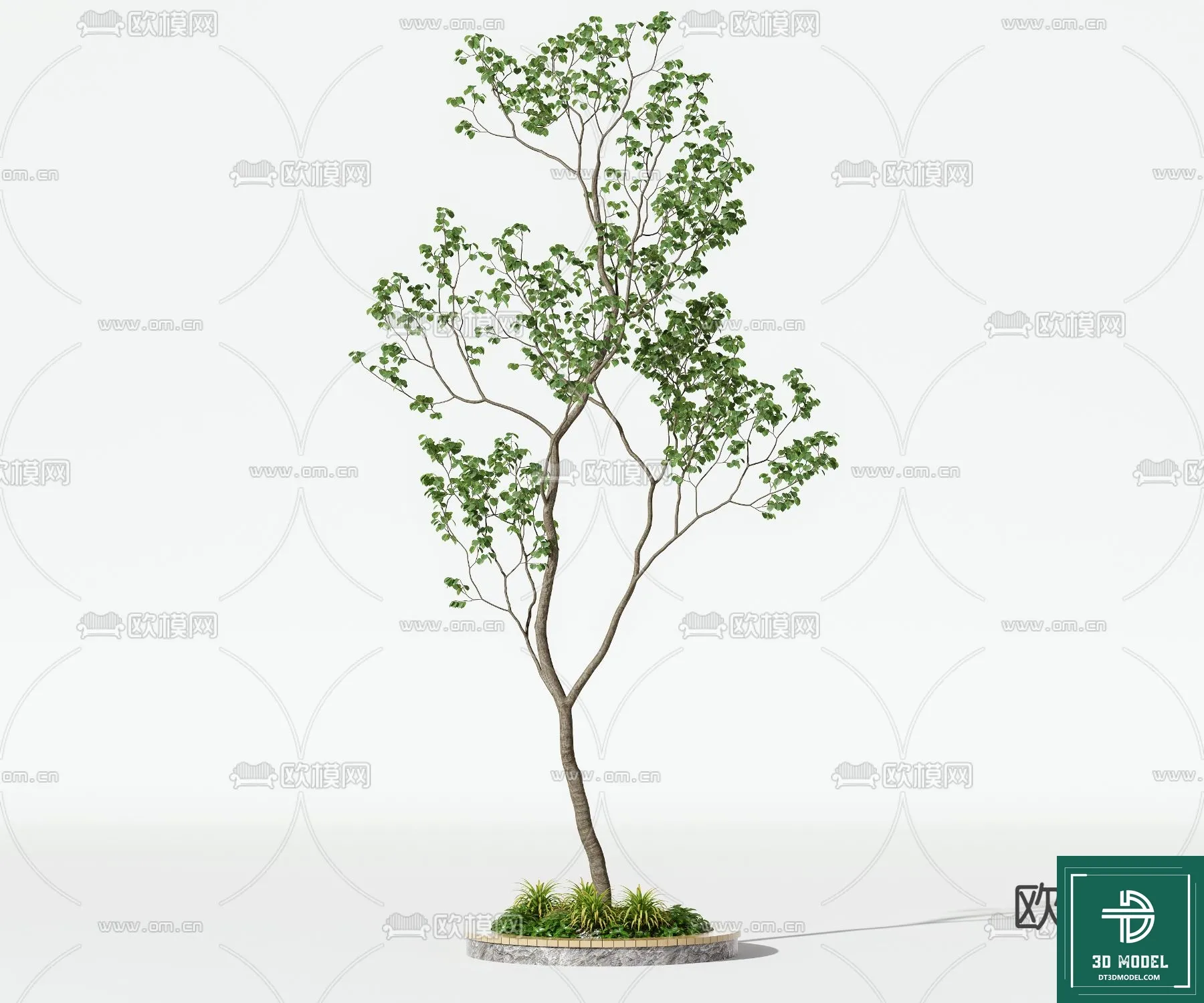 Tree 3D Models - Exterior and Architecture 3DS Max - 142