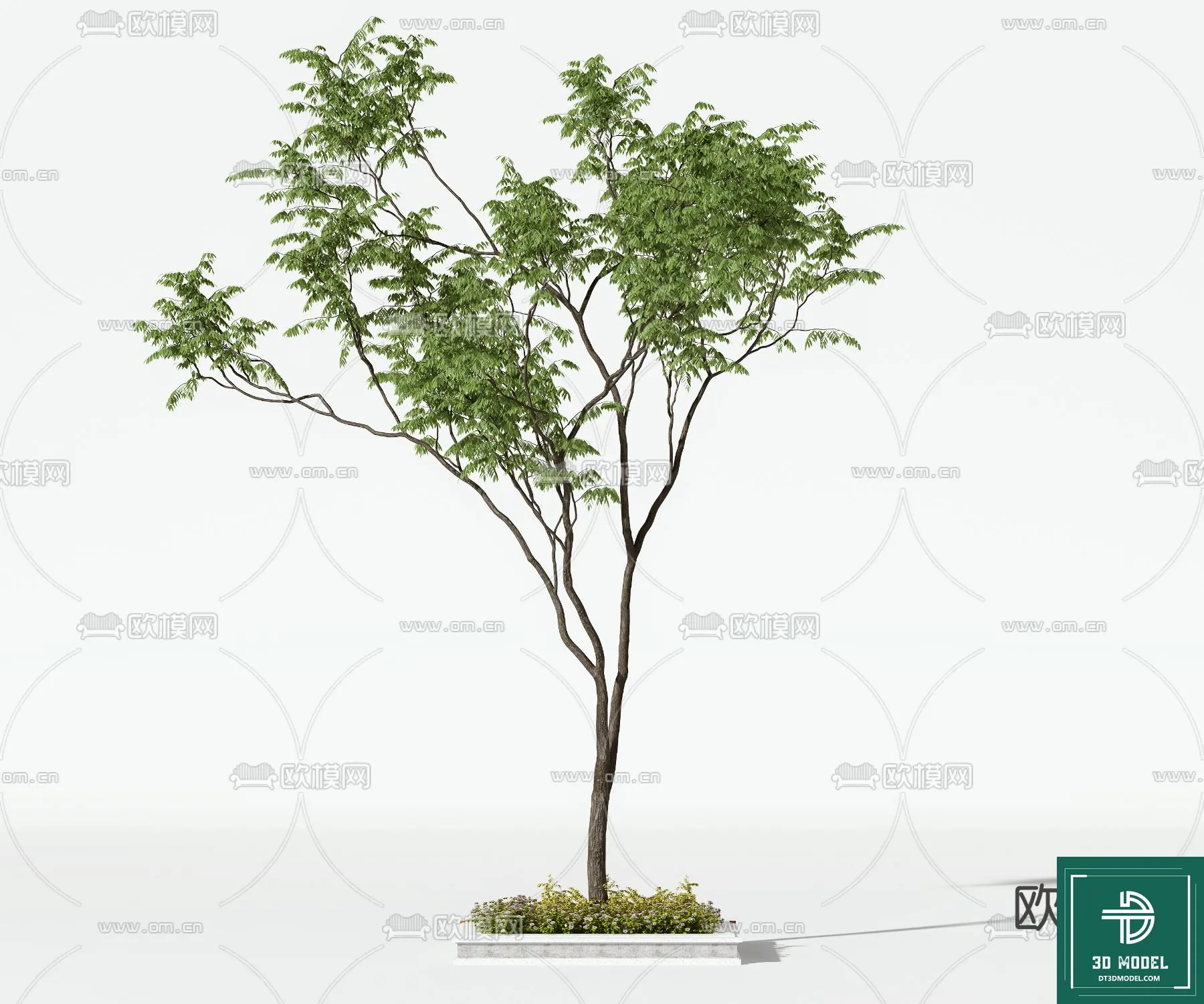 Tree 3D Models - Exterior and Architecture 3DS Max - 143