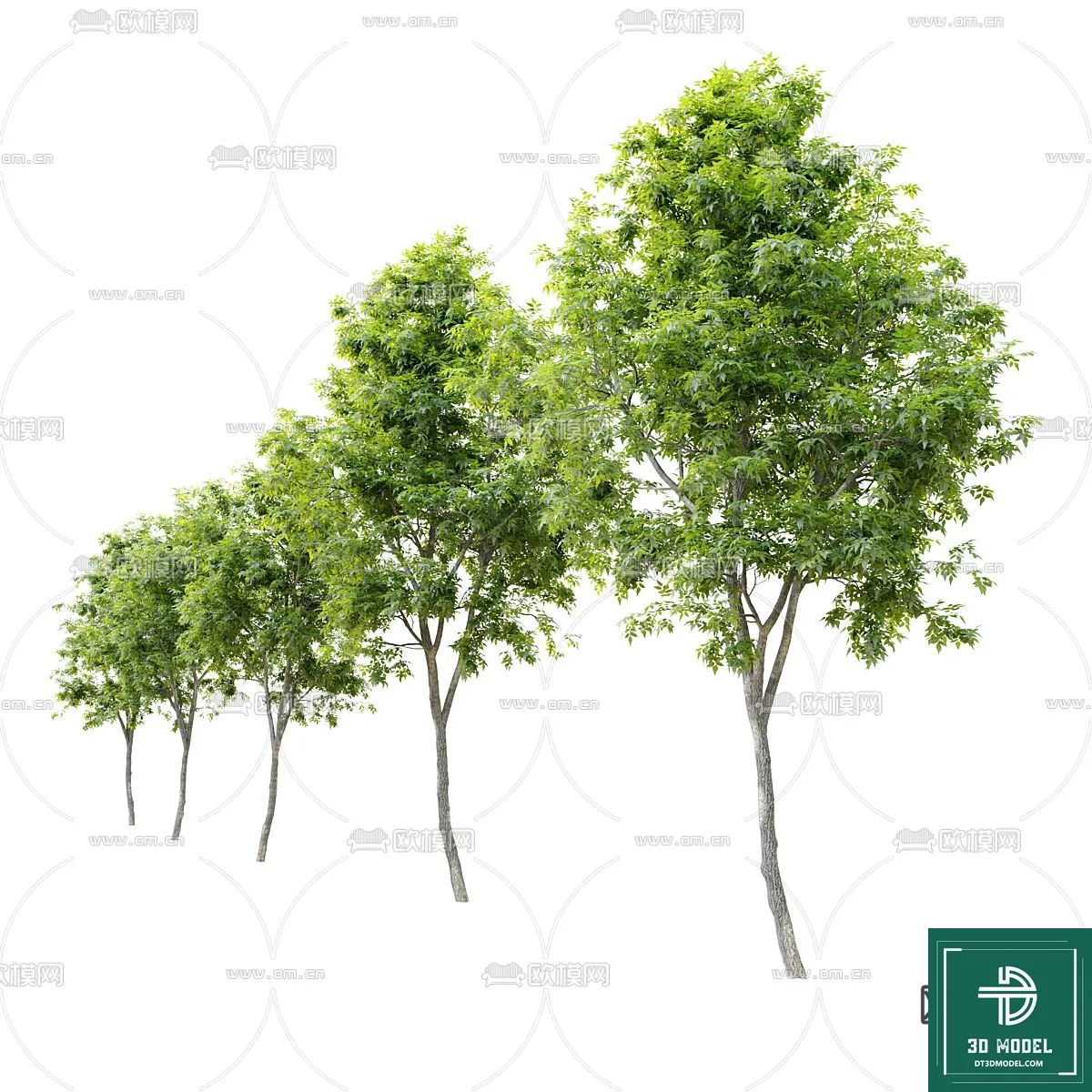 Tree 3D Models - Exterior and Architecture 3DS Max - 157