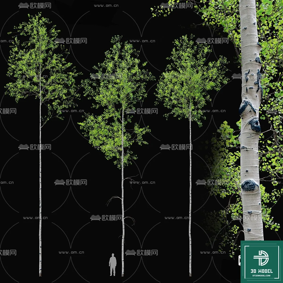Tree 3D Models - Exterior and Architecture 3DS Max - 158