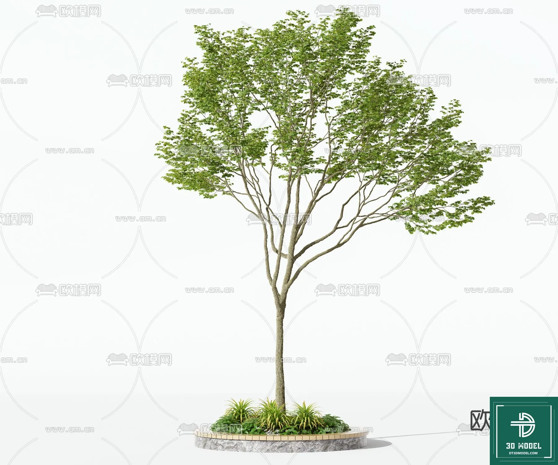 Tree 3D Models - Exterior and Architecture 3DS Max - 165