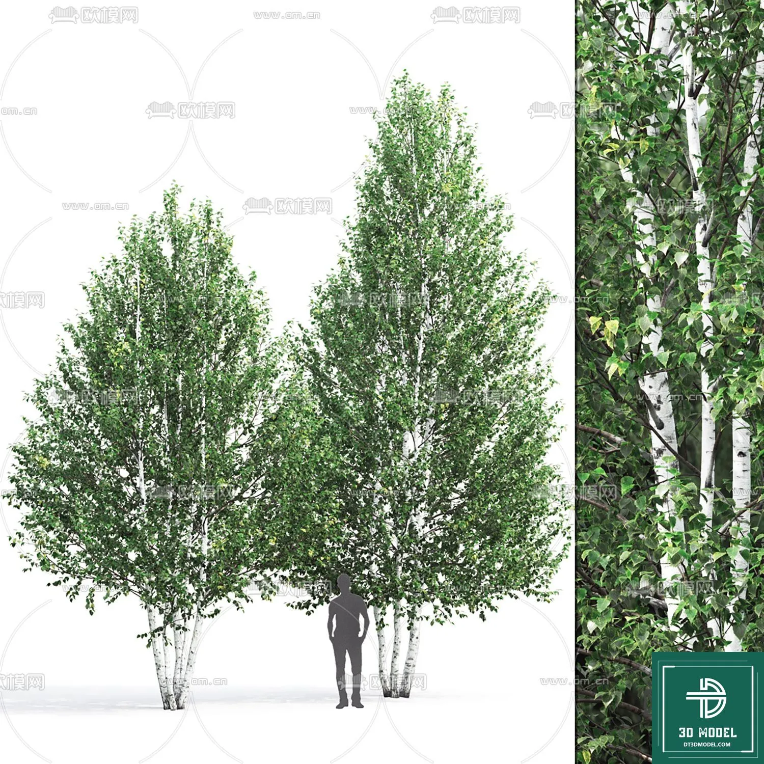 Tree 3D Models - Exterior and Architecture 3DS Max - 167