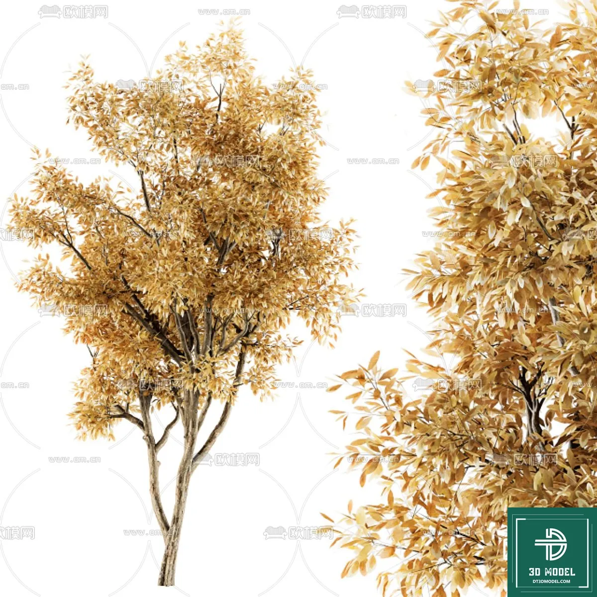 Tree 3D Models - Exterior and Architecture 3DS Max - 168