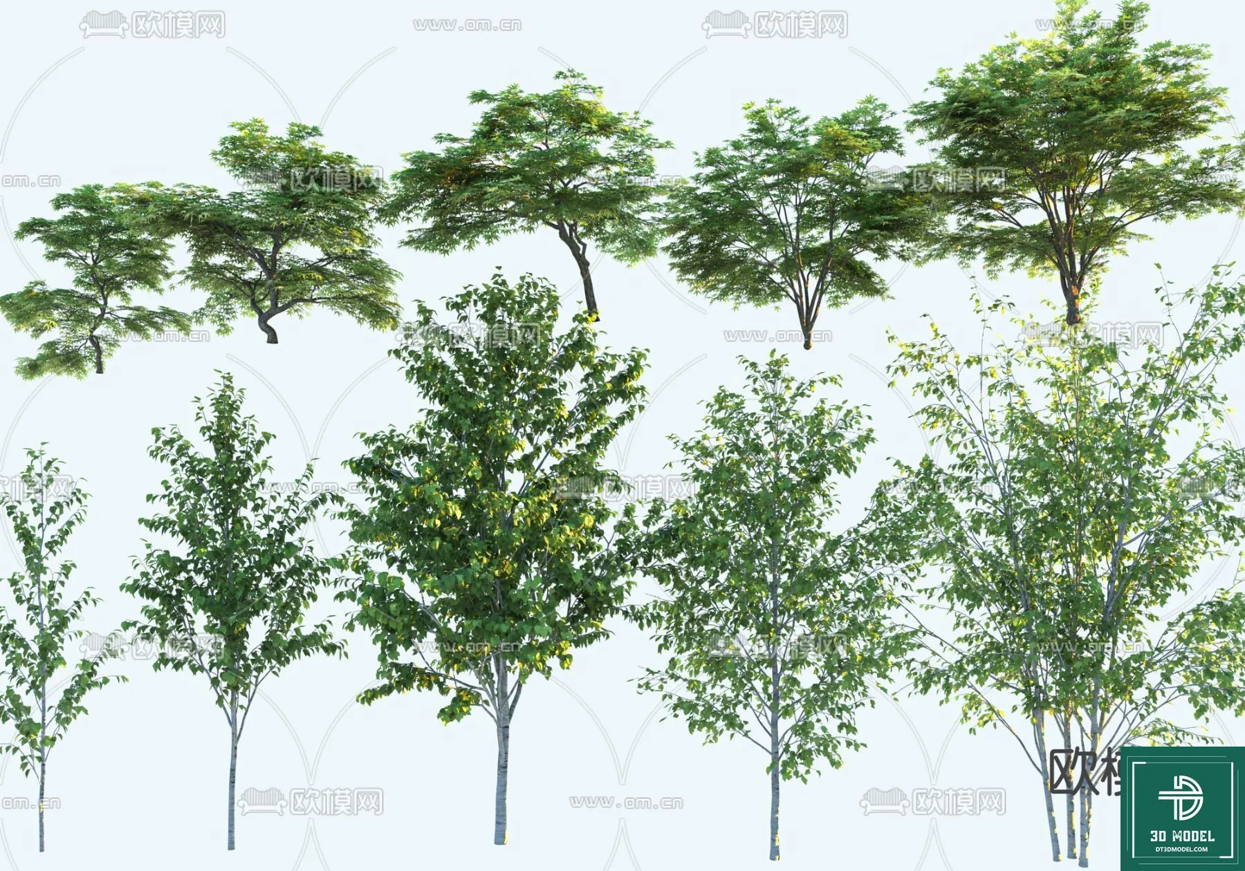 Tree 3D Models - Exterior and Architecture 3DS Max - 185