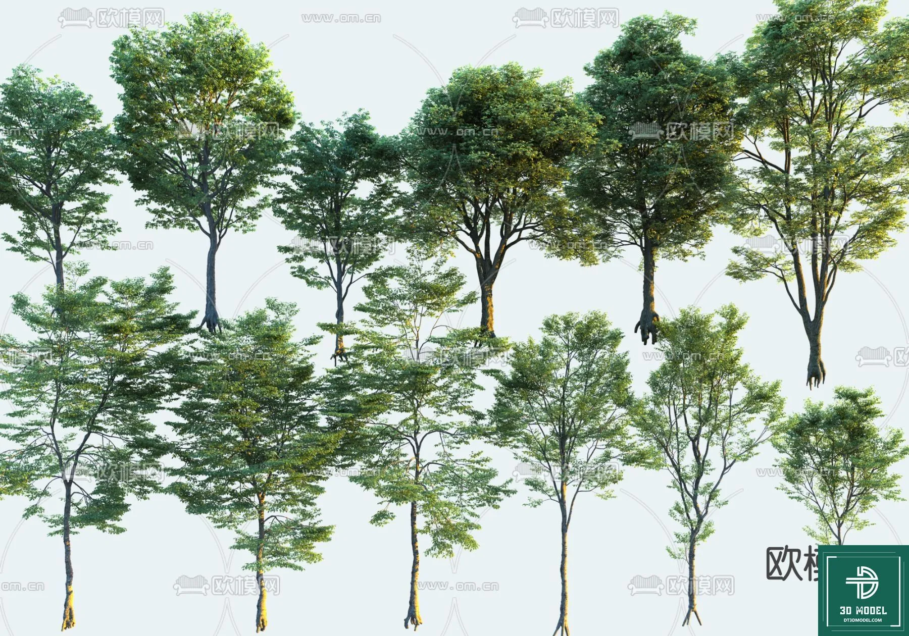 Tree 3D Models - Exterior and Architecture 3DS Max - 188