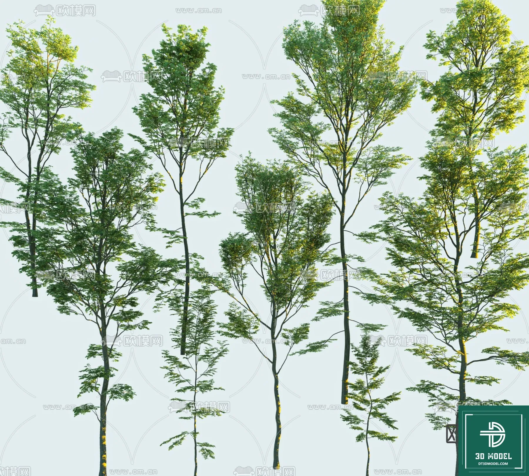Tree 3D Models - Exterior and Architecture 3DS Max - 189