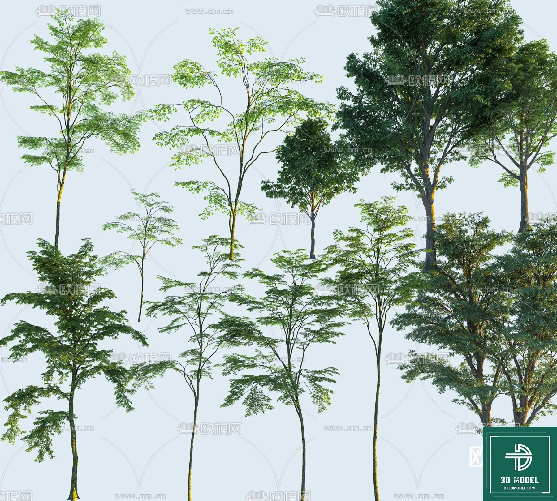 Tree 3D Models - Exterior and Architecture 3DS Max - 190