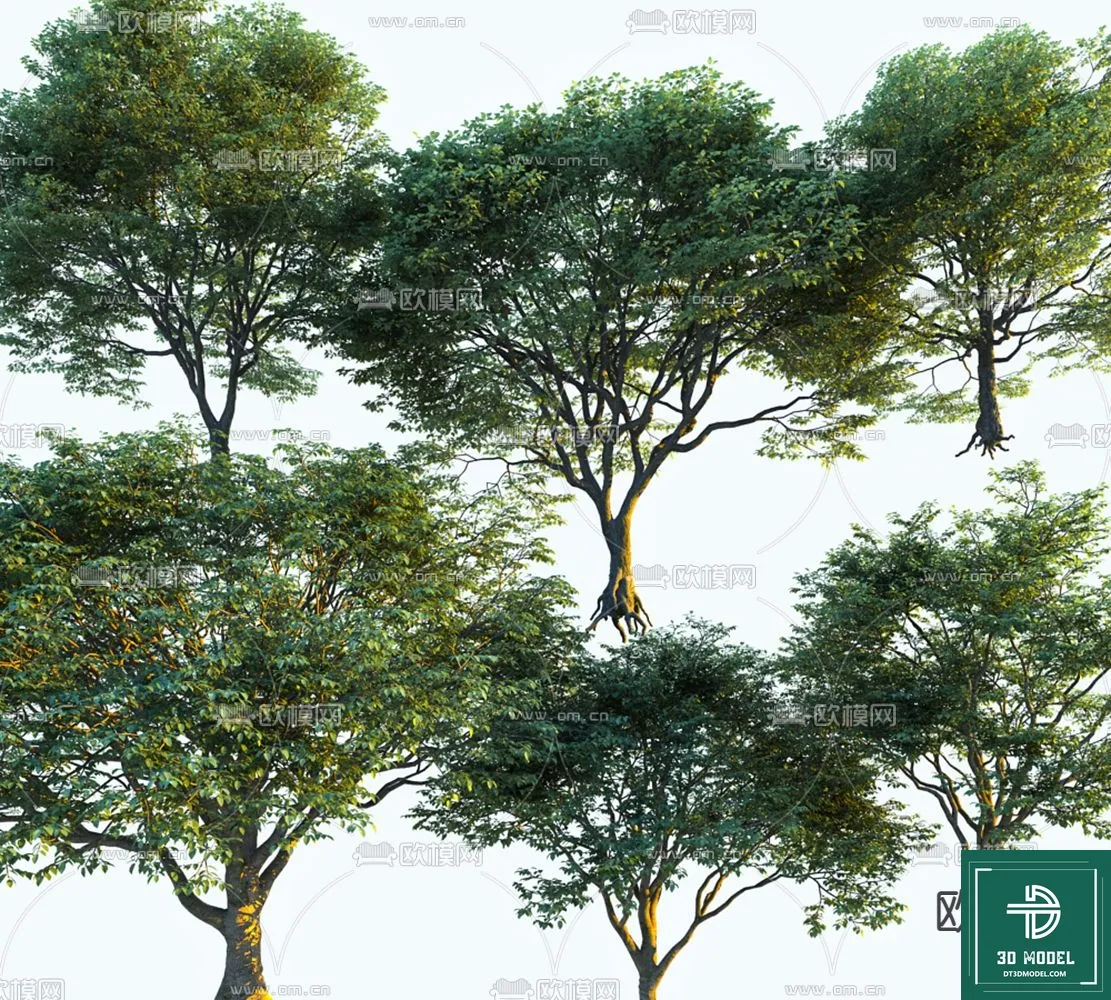 Tree 3D Models - Exterior and Architecture 3DS Max - 191