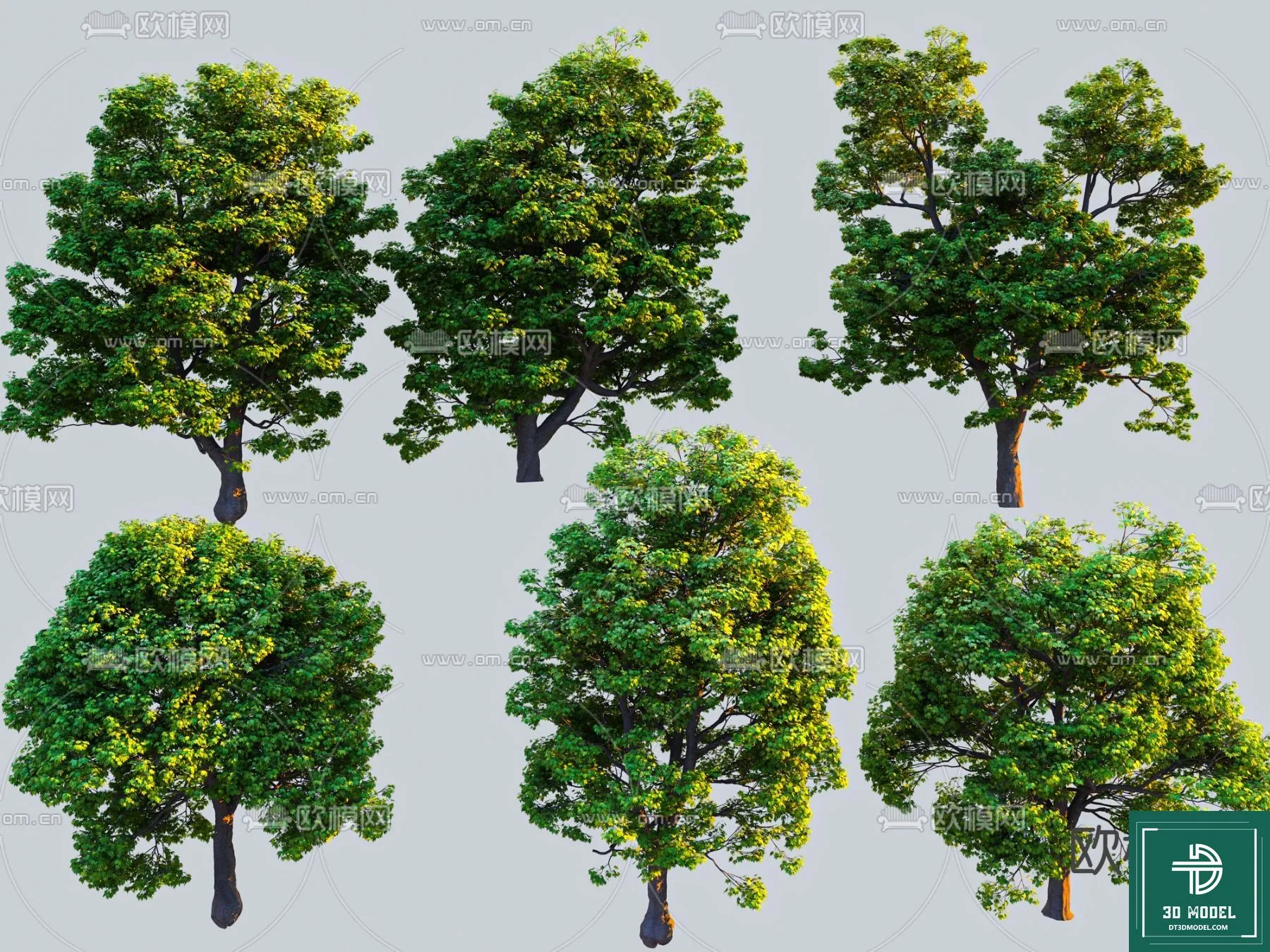 Tree 3D Models - Exterior and Architecture 3DS Max - 206