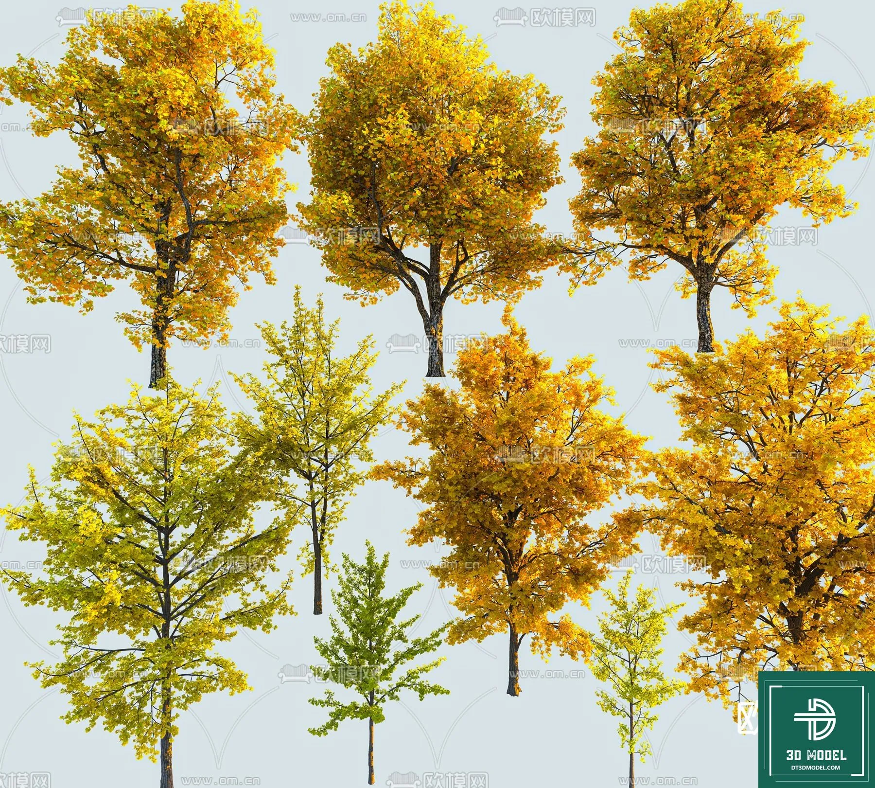 Tree 3D Models - Exterior and Architecture 3DS Max - 212