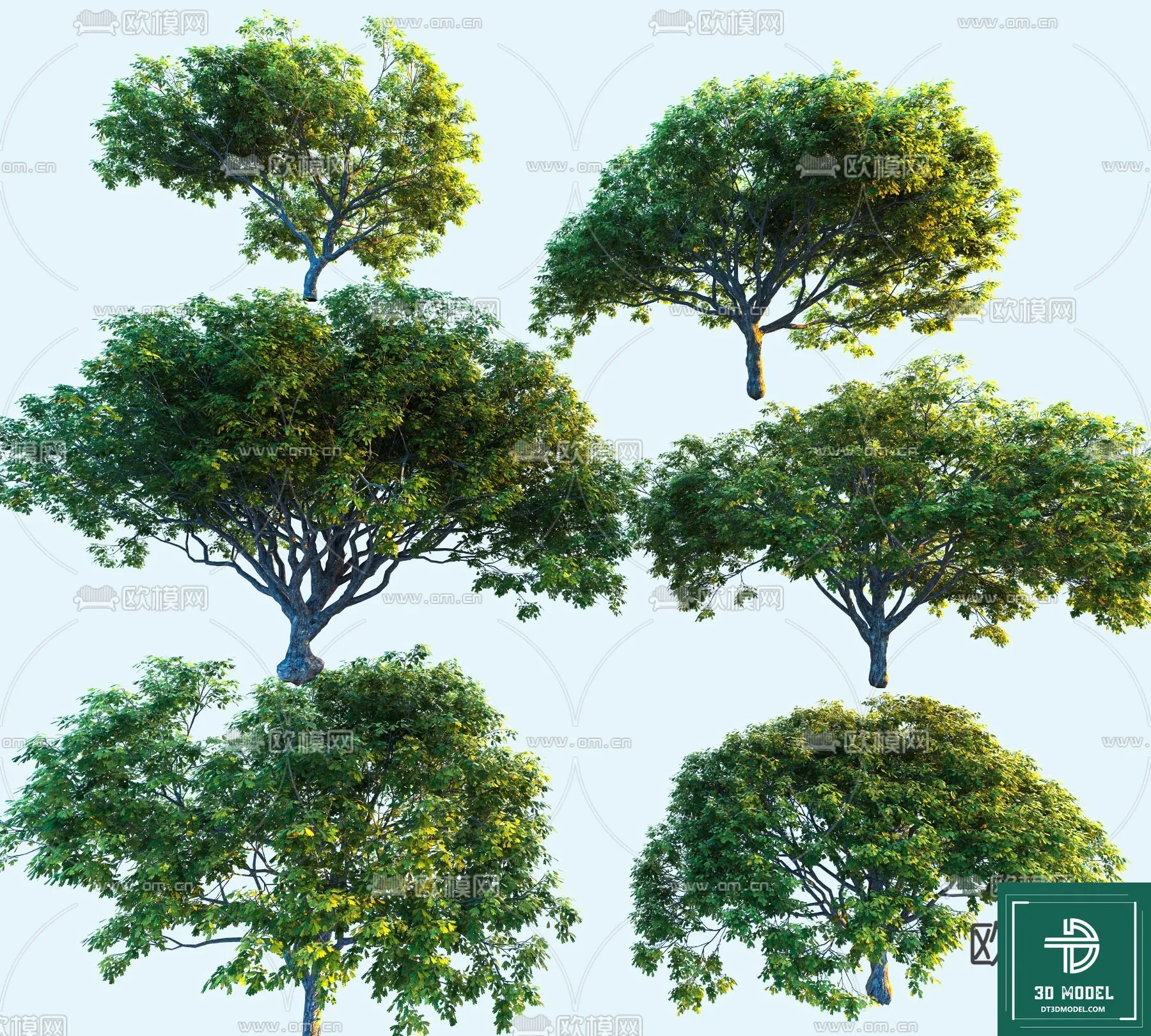 Tree 3D Models - Exterior and Architecture 3DS Max - 213