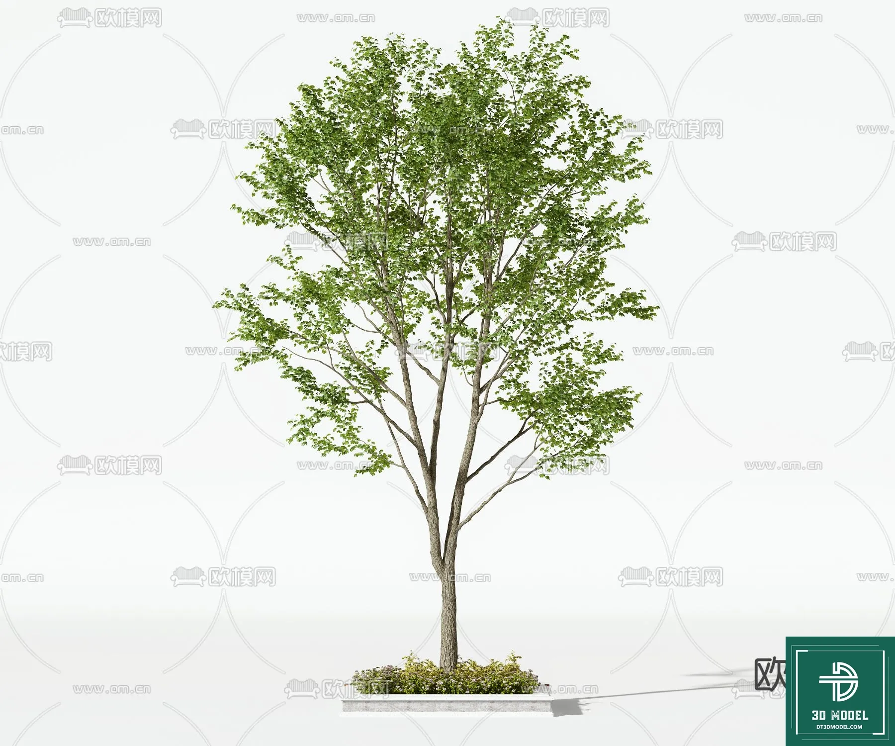 Tree 3D Models - Exterior and Architecture 3DS Max - 217