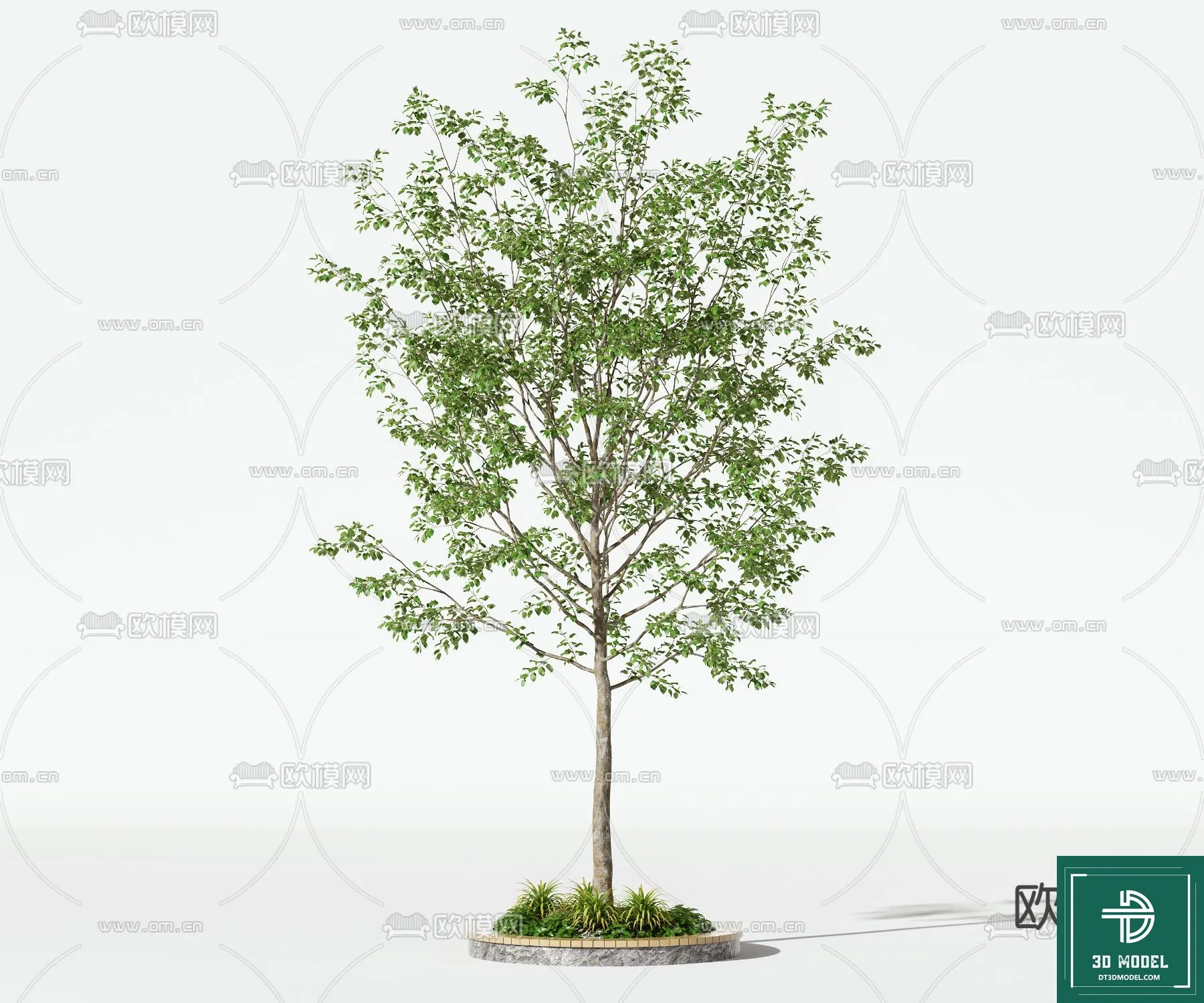 Tree 3D Models - Exterior and Architecture 3DS Max - 218