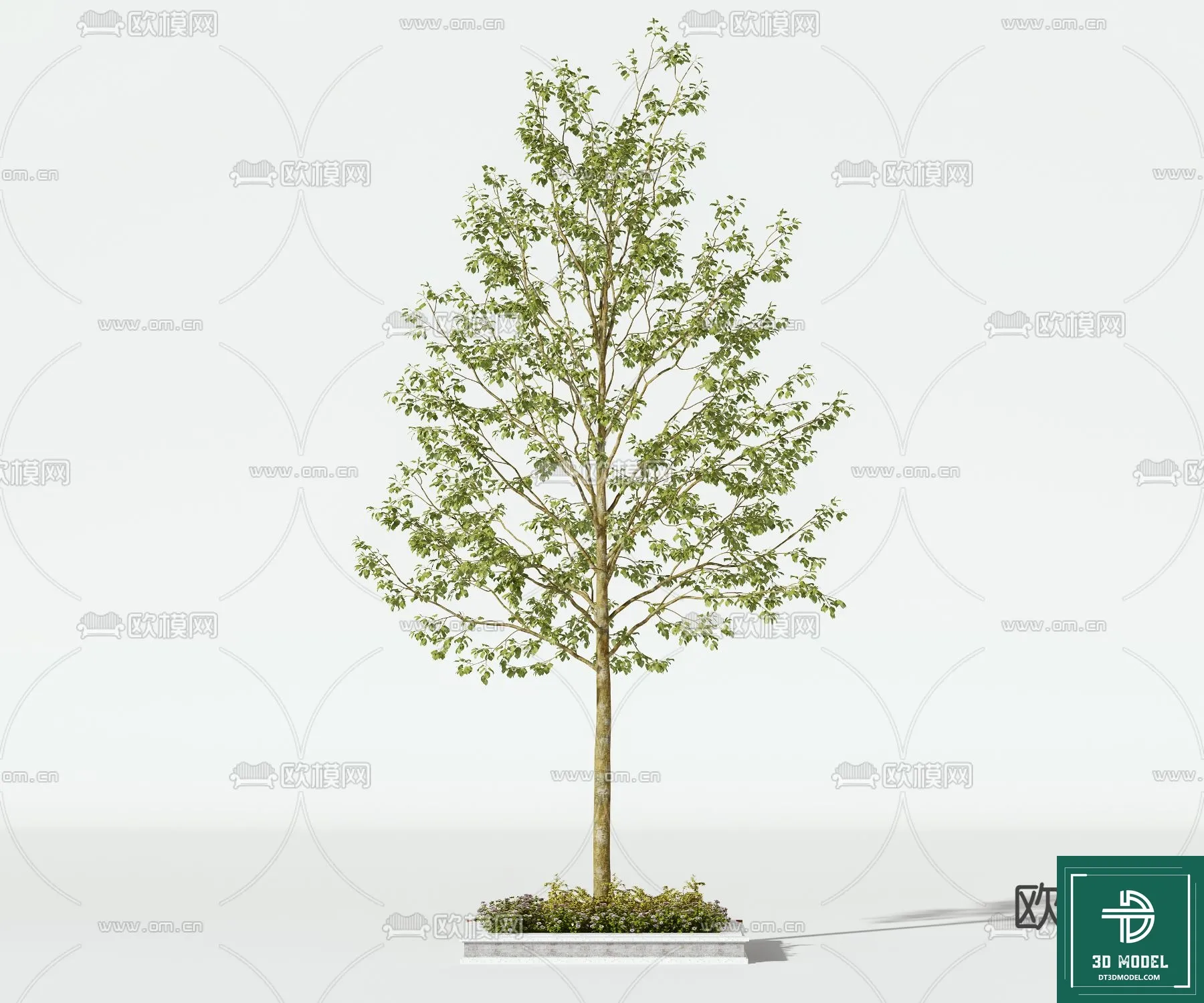 Tree 3D Models - Exterior and Architecture 3DS Max - 221
