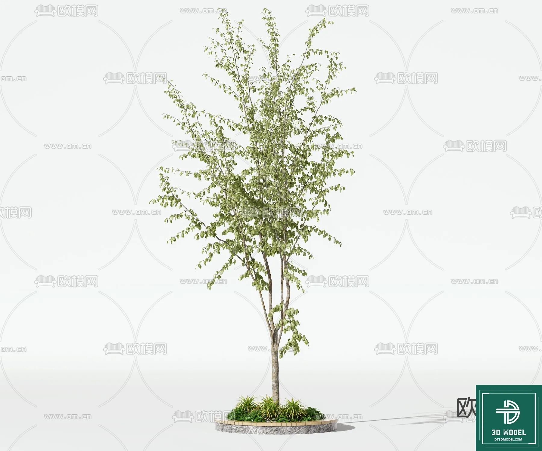 Tree 3D Models - Exterior and Architecture 3DS Max - 226