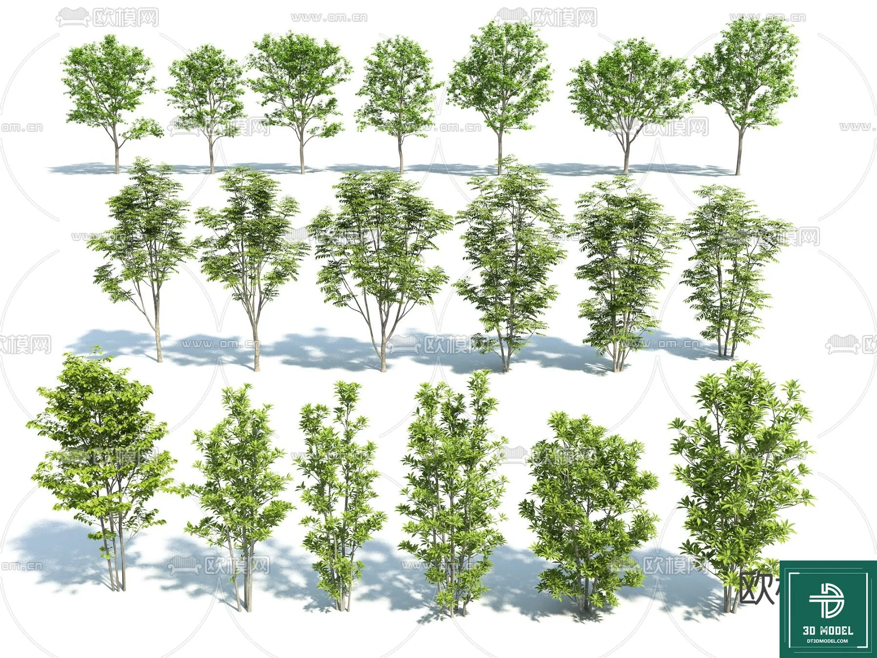 Tree 3D Models - Exterior and Architecture 3DS Max - 228