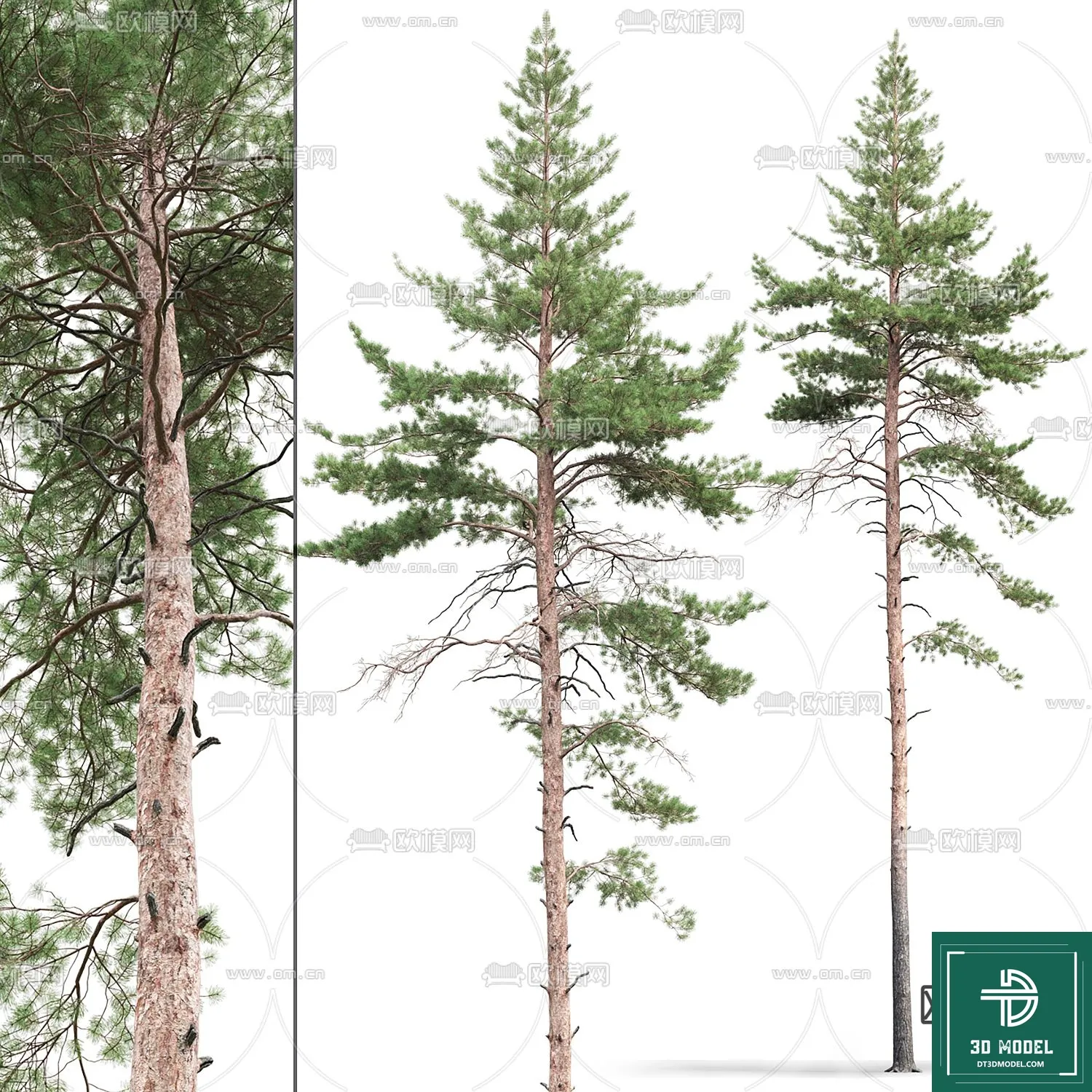 Tree 3D Models - Exterior and Architecture 3DS Max - 229