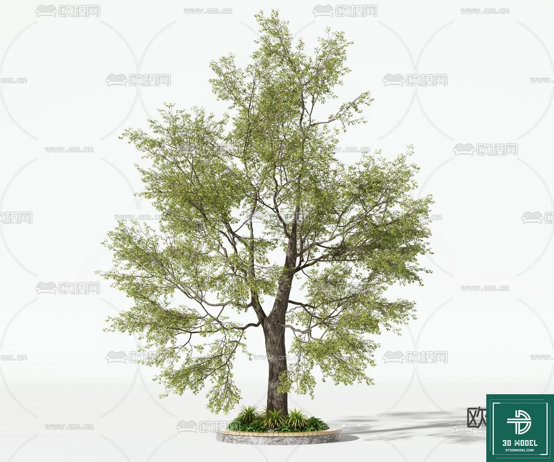 Tree 3D Models - Exterior and Architecture 3DS Max - 242