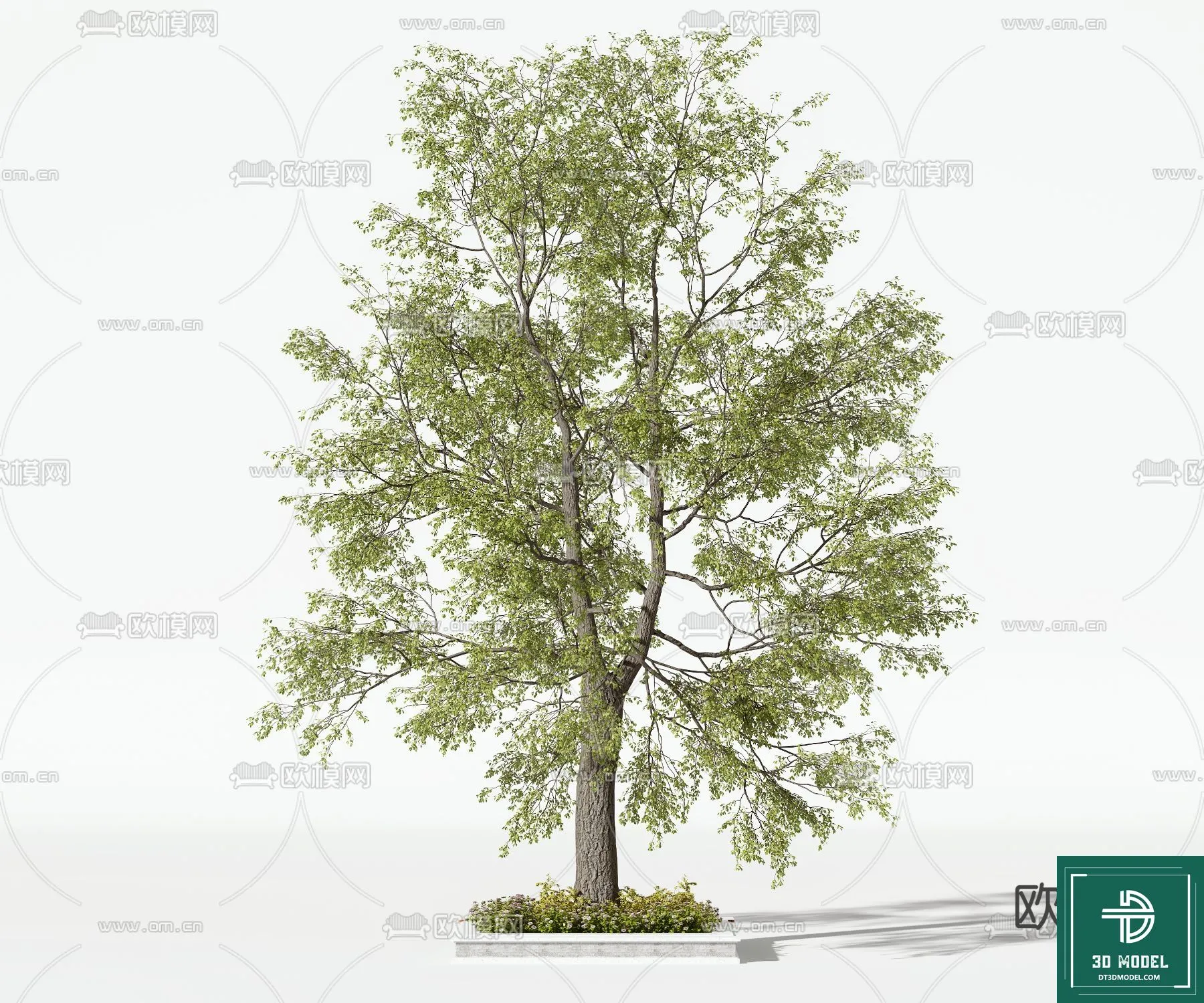 Tree 3D Models - Exterior and Architecture 3DS Max - 243