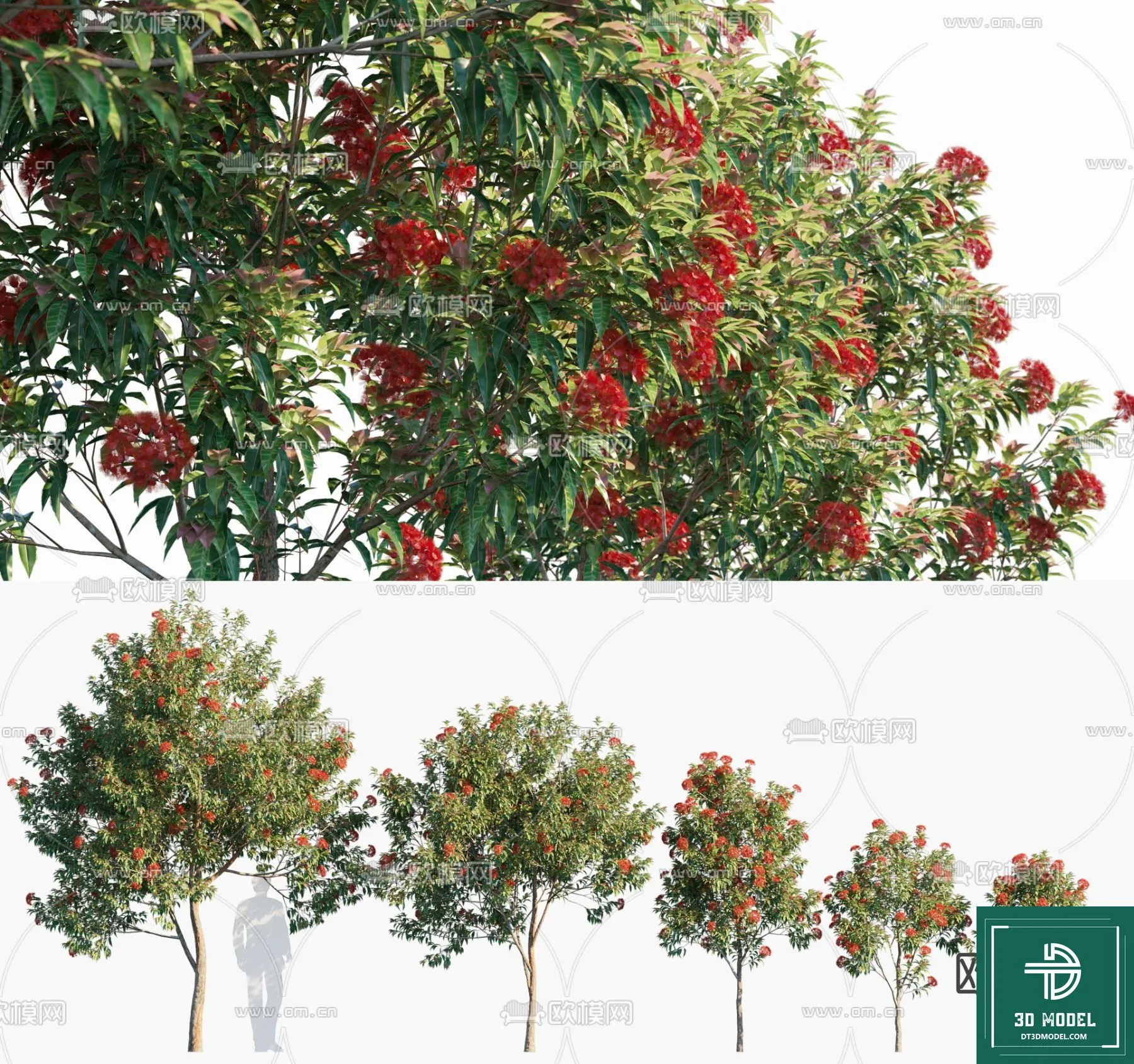 Tree 3D Models - Exterior and Architecture 3DS Max - 247