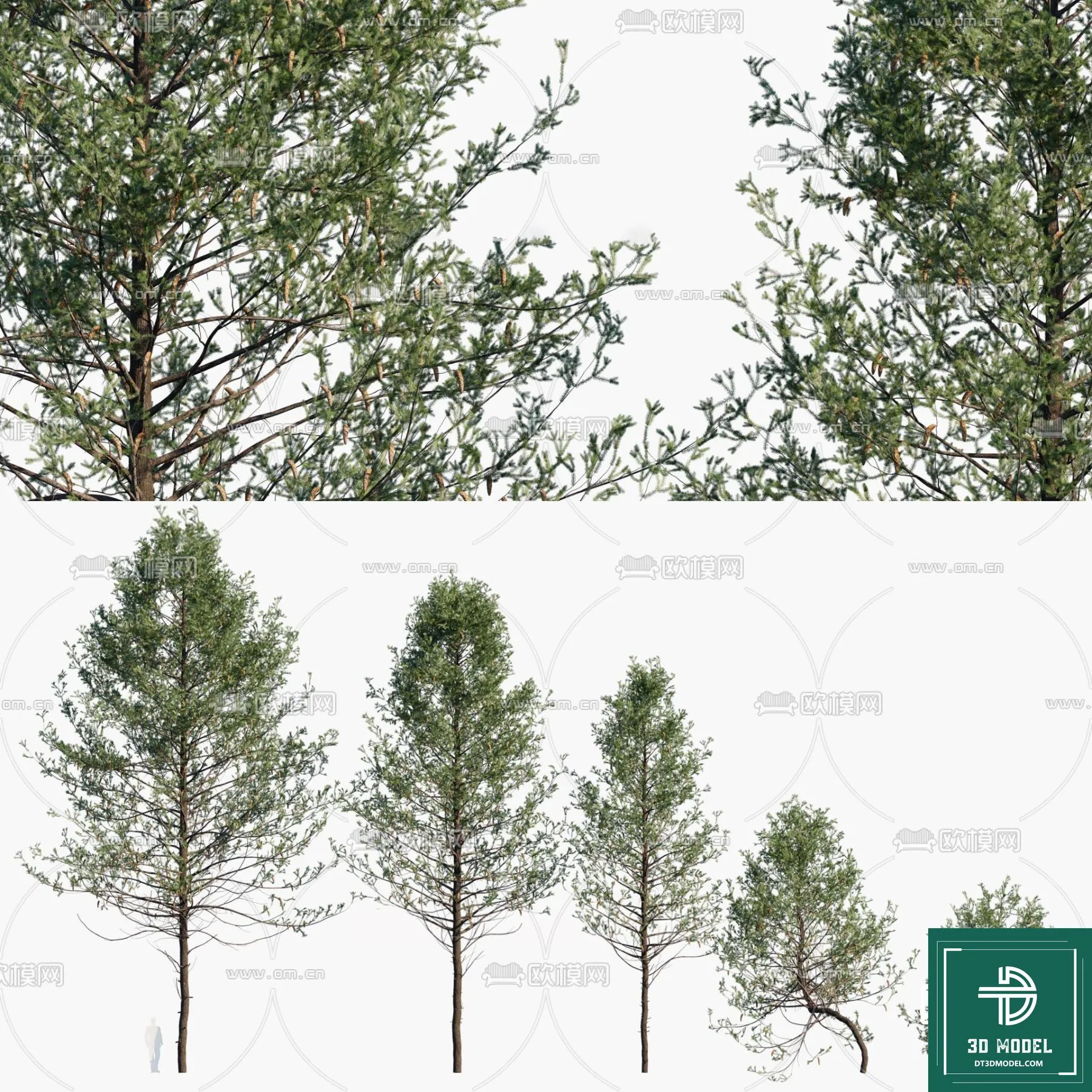 Tree 3D Models - Exterior and Architecture 3DS Max - 258