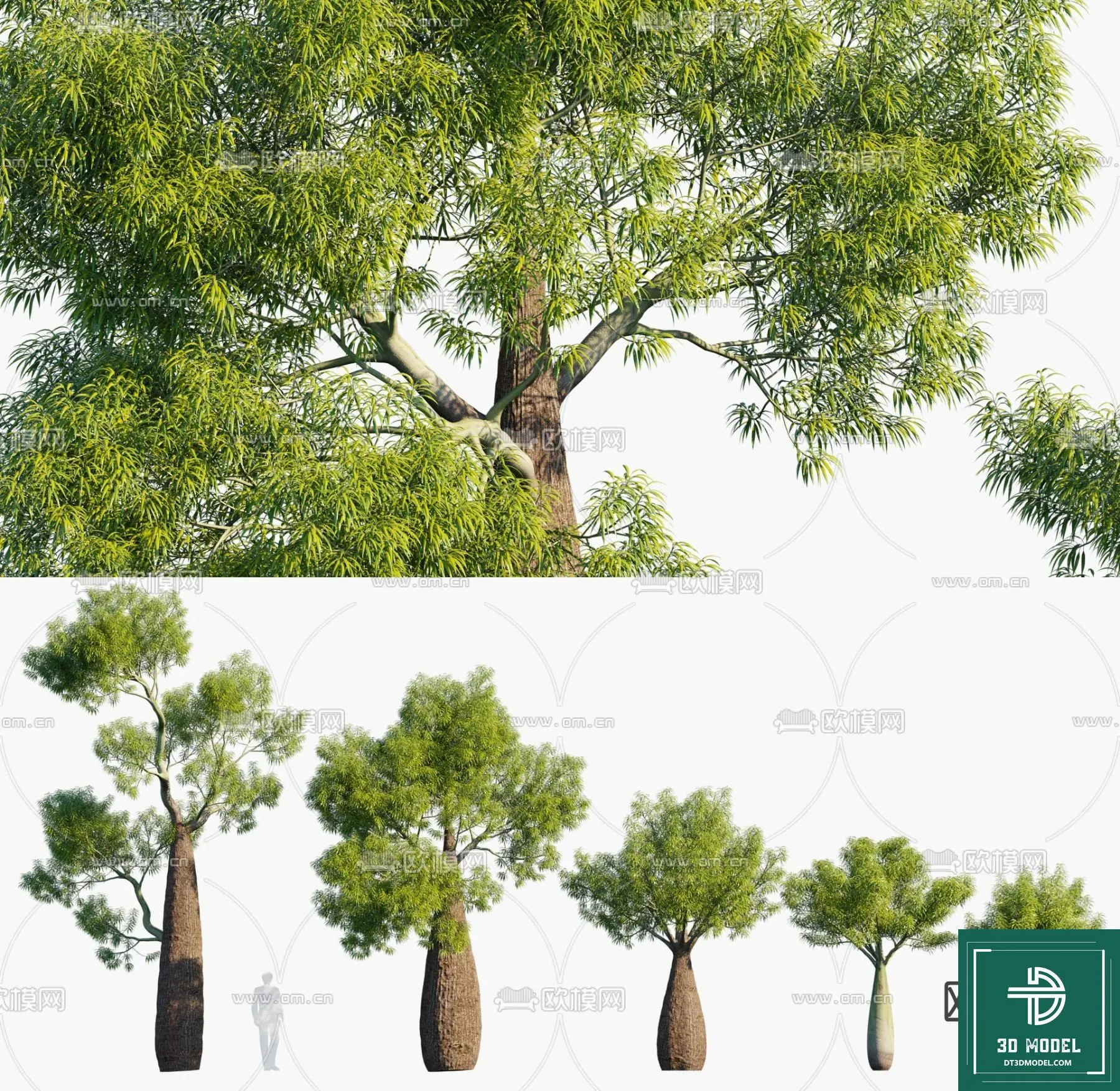 Tree 3D Models - Exterior and Architecture 3DS Max - 260