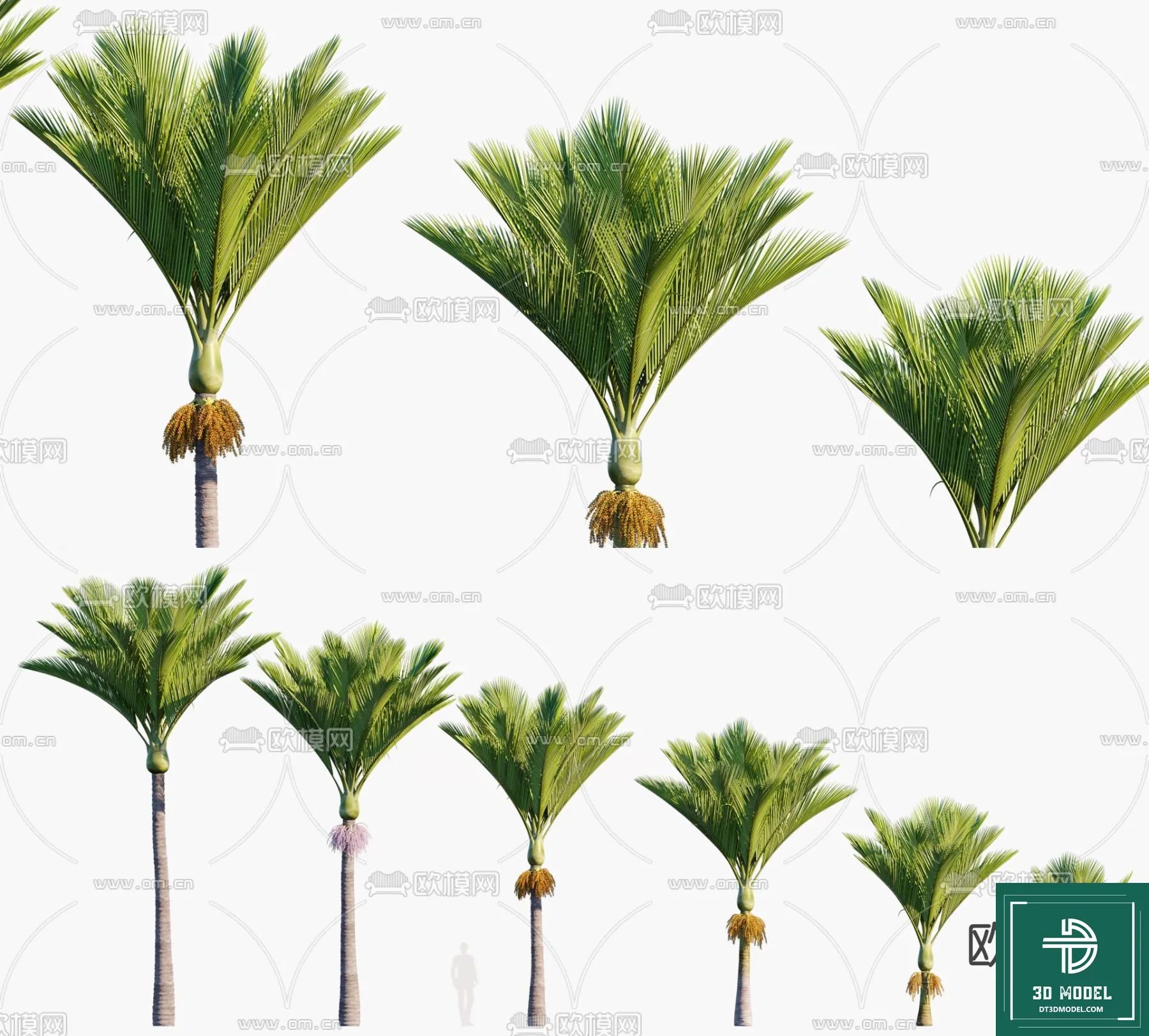 Tree 3D Models - Exterior and Architecture 3DS Max - 261