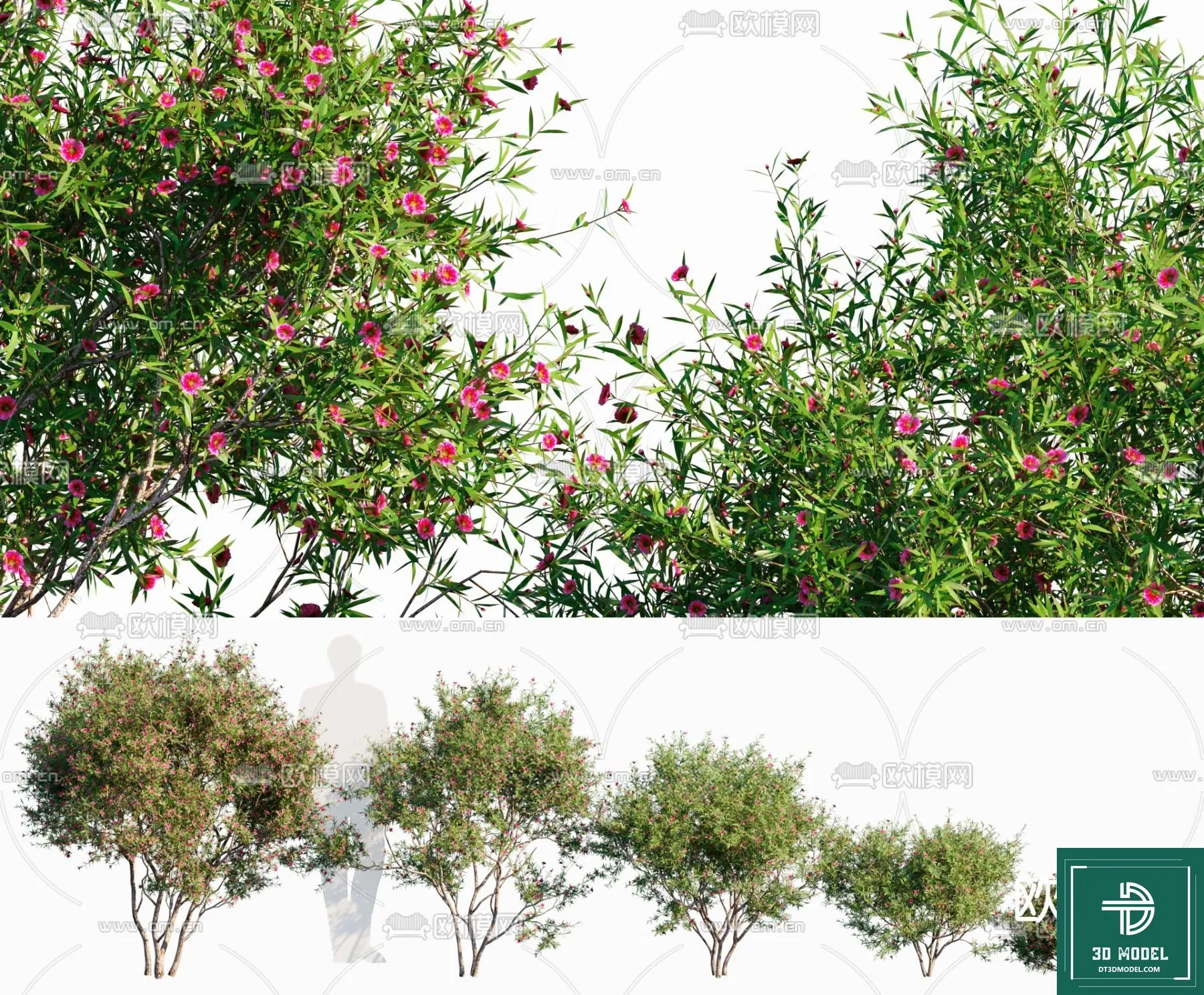 Tree 3D Models - Exterior and Architecture 3DS Max - 262