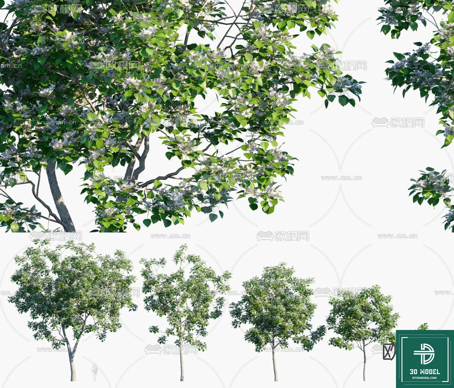 Tree 3D Models - Exterior and Architecture 3DS Max - 265