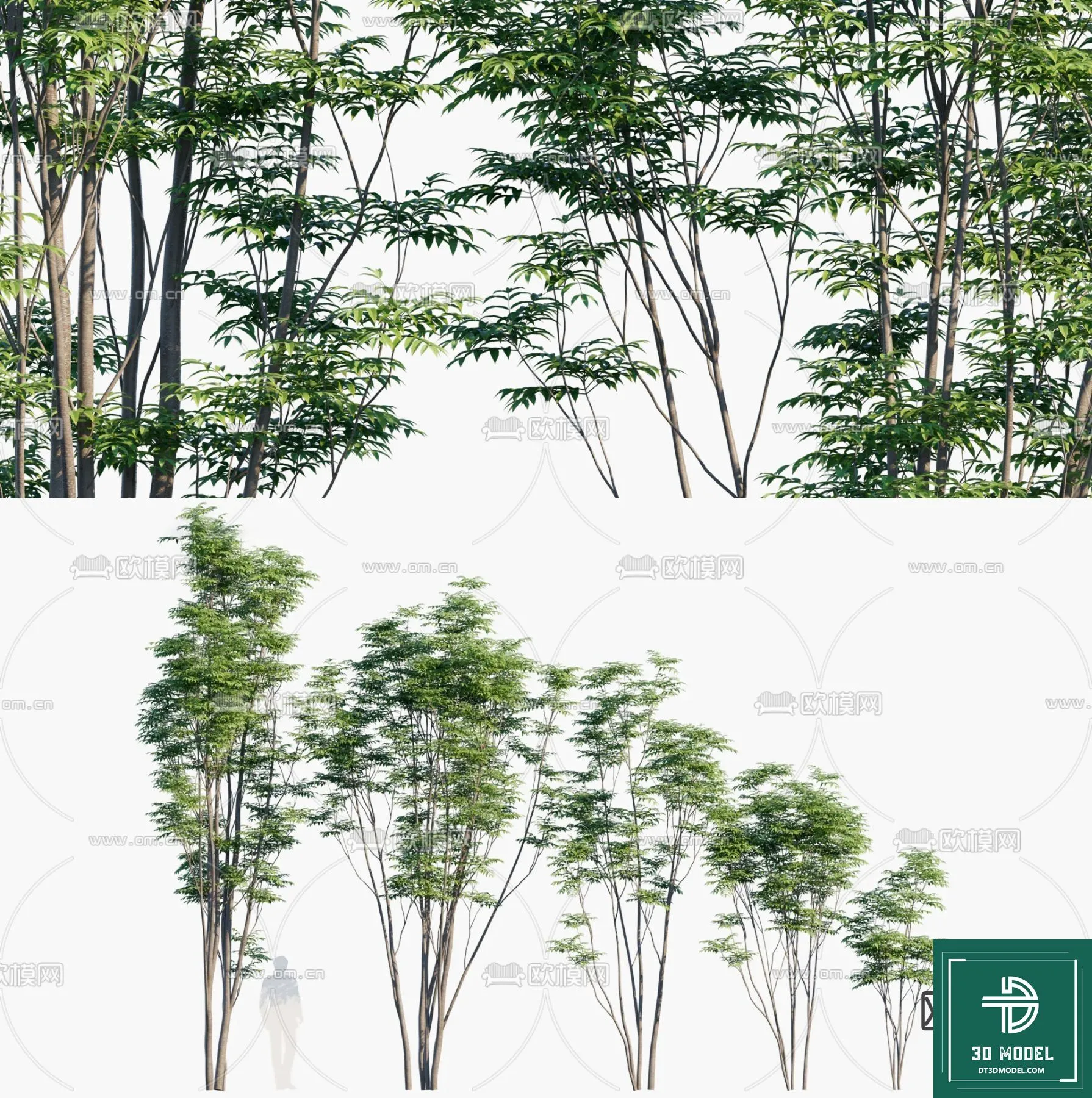 Tree 3D Models - Exterior and Architecture 3DS Max - 268