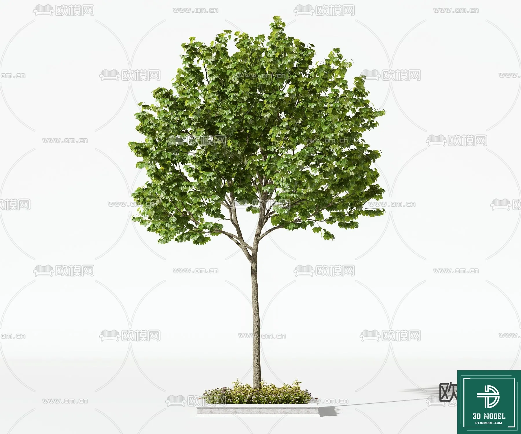 Tree 3D Models - Exterior and Architecture 3DS Max - 270