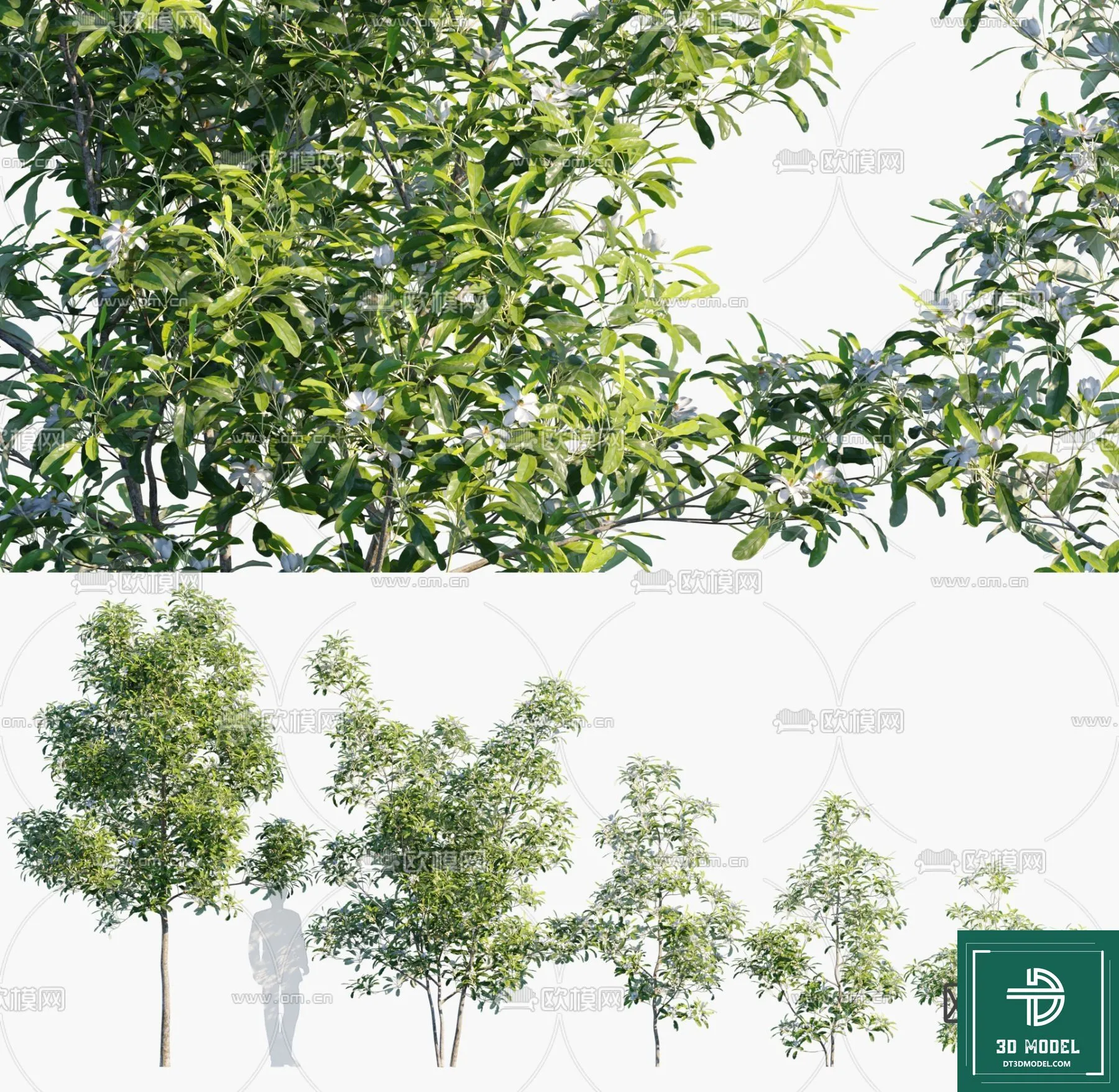 Tree 3D Models - Exterior and Architecture 3DS Max - 271