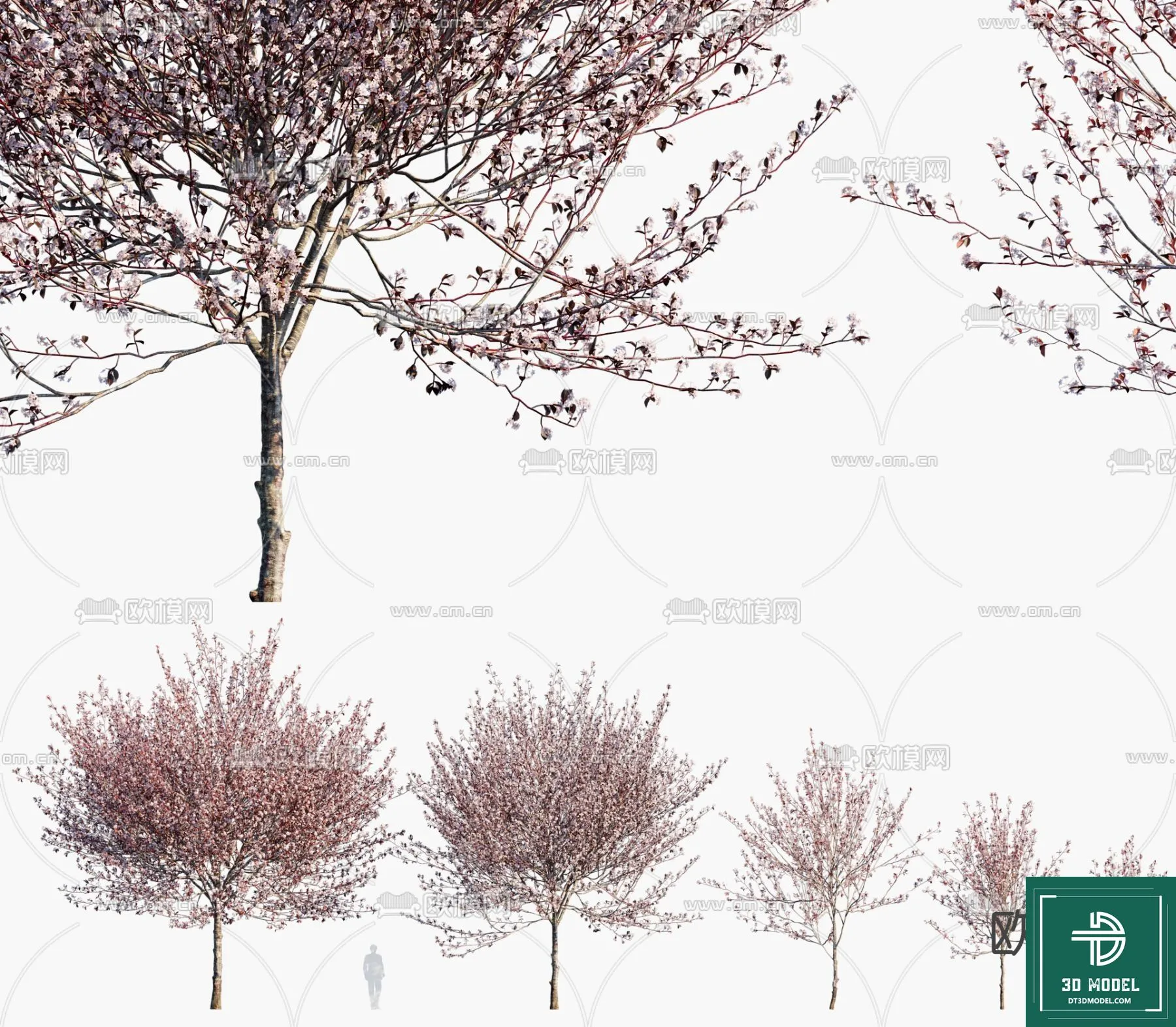 Tree 3D Models - Exterior and Architecture 3DS Max - 276