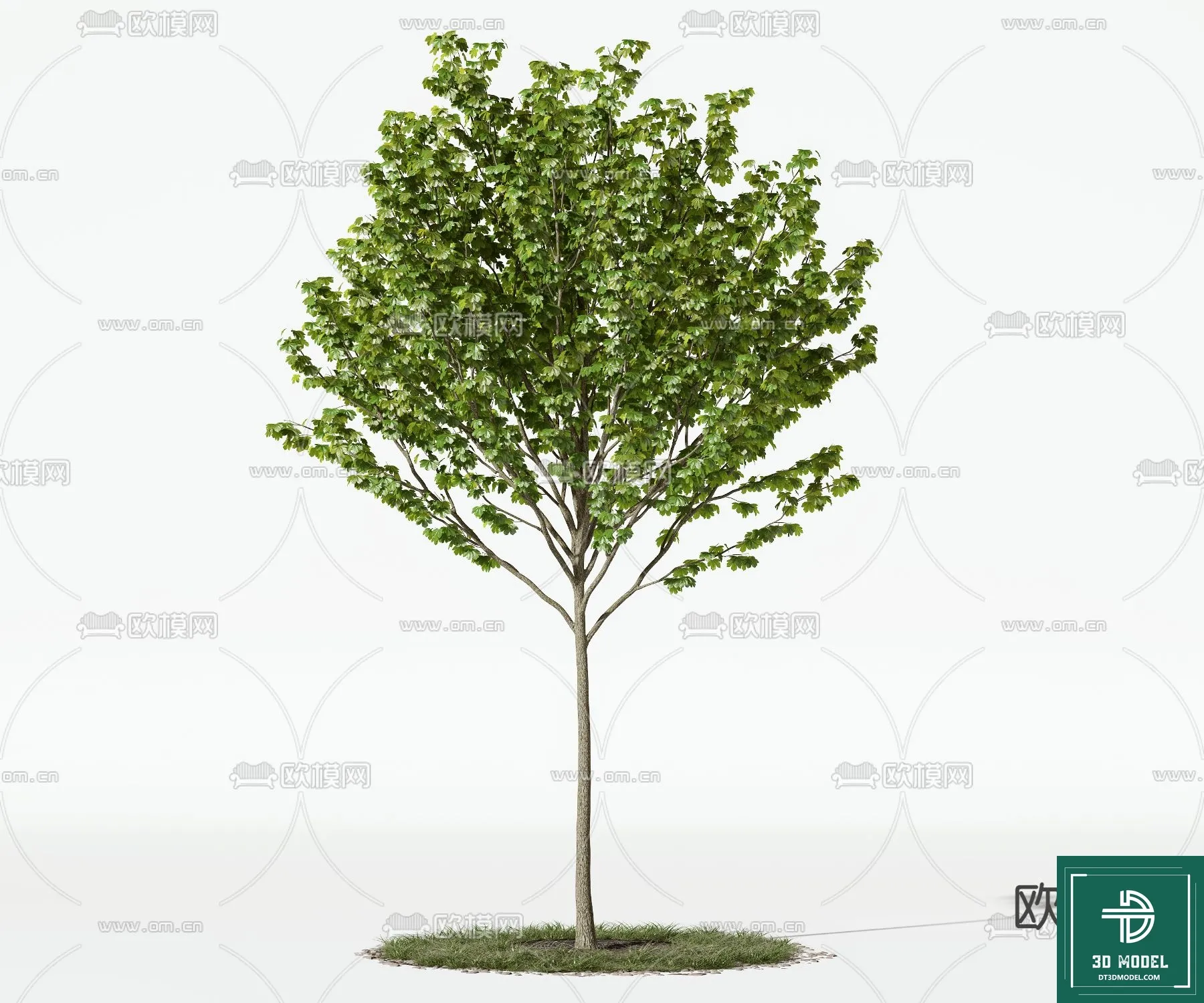 Tree 3D Models - Exterior and Architecture 3DS Max - 281