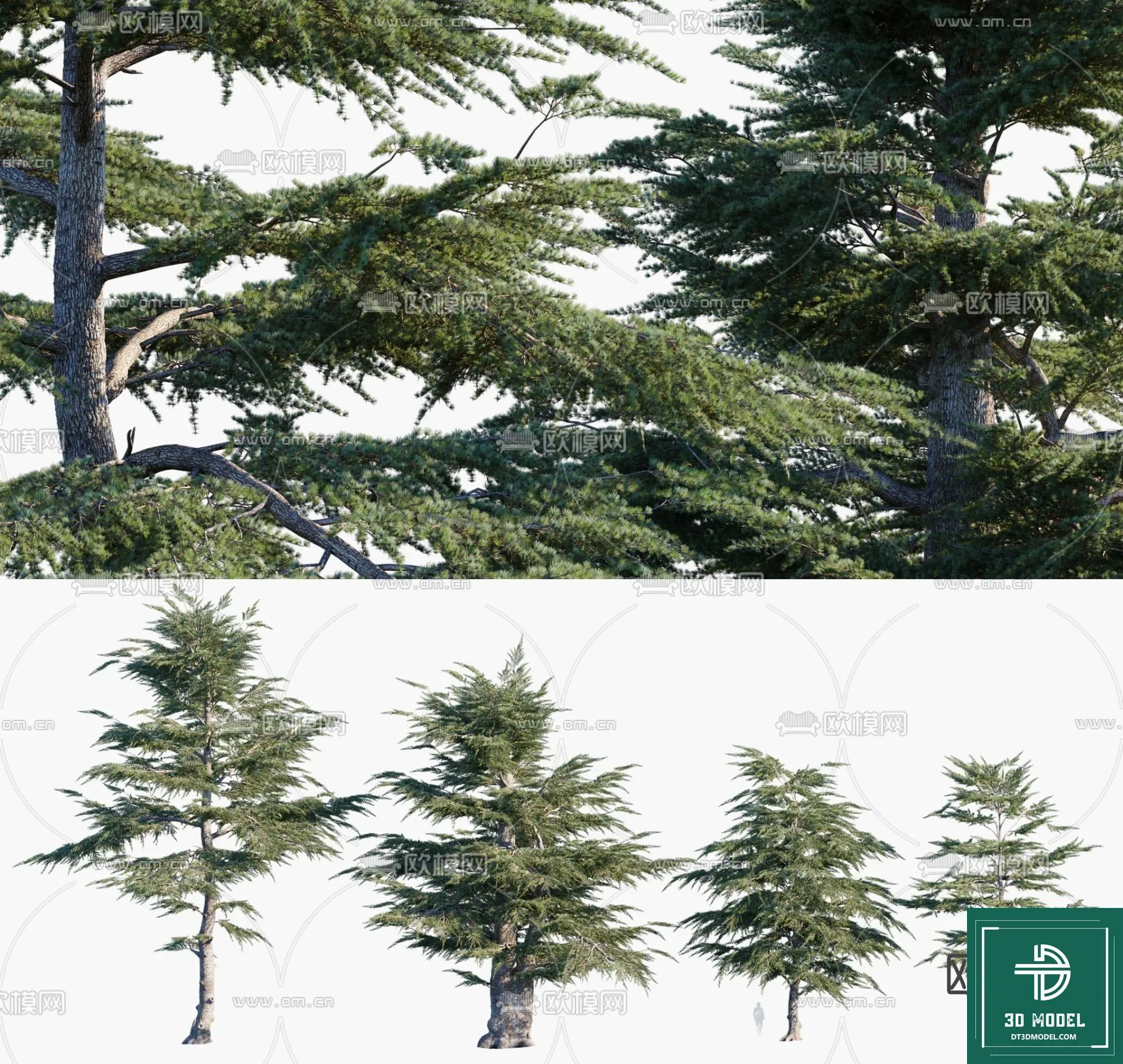 Tree 3D Models - Exterior and Architecture 3DS Max - 282