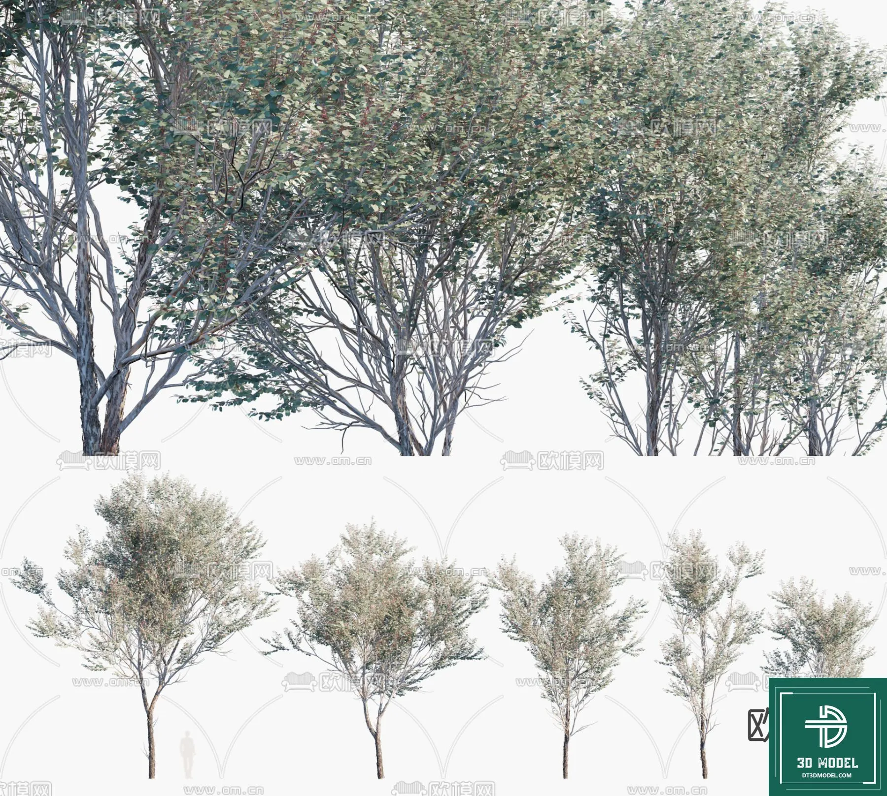 Tree 3D Models - Exterior and Architecture 3DS Max - 291
