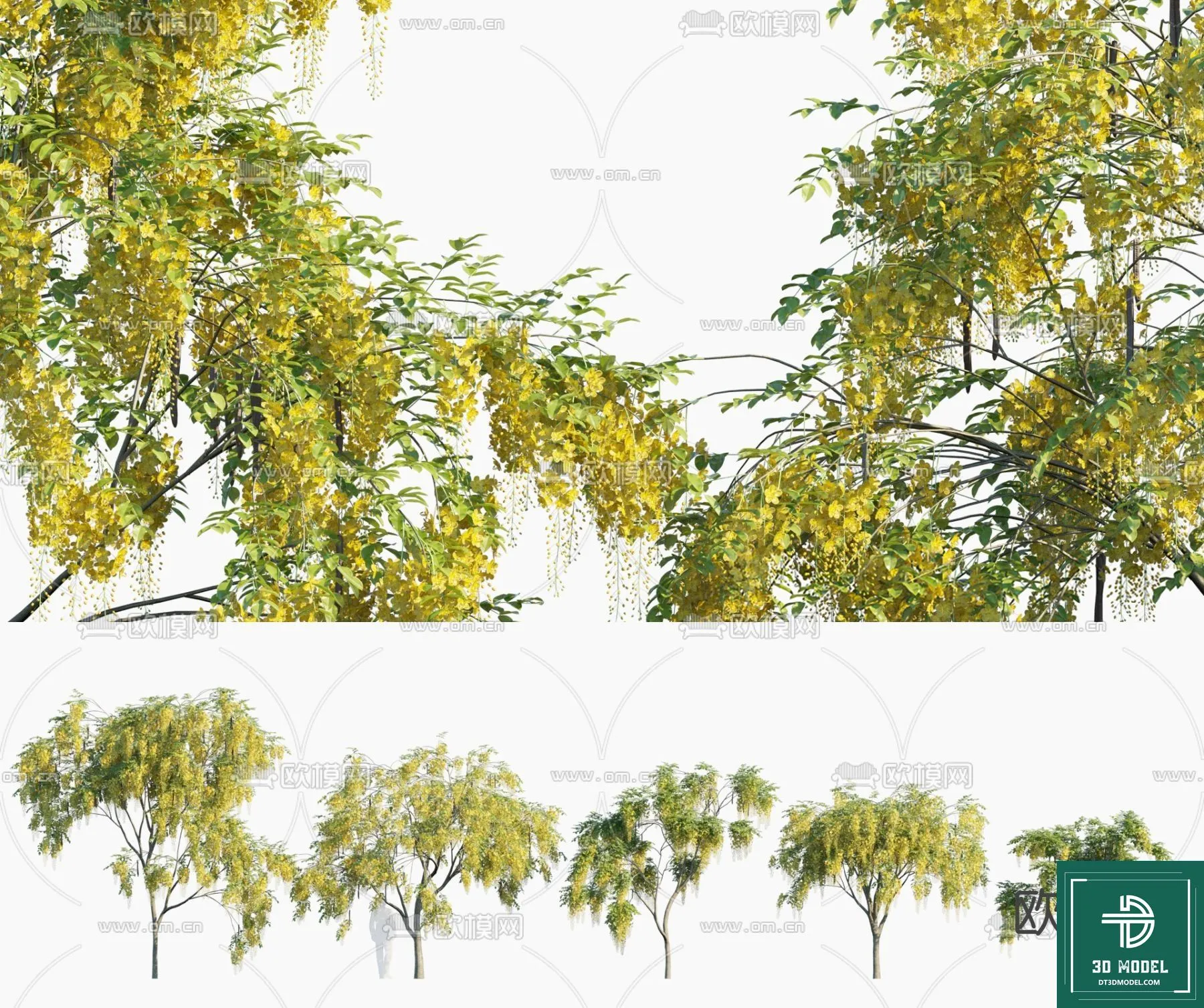 Tree 3D Models - Exterior and Architecture 3DS Max - 297