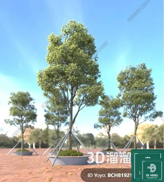 Tree 3D Models - Exterior and Architecture 3DS Max - 303