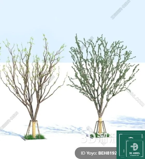 Tree 3D Models - Exterior and Architecture 3DS Max - 306