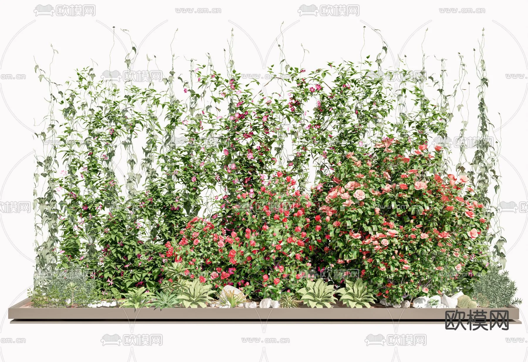 Tree 3D Models - Exterior and Architecture 3DS Max - 309