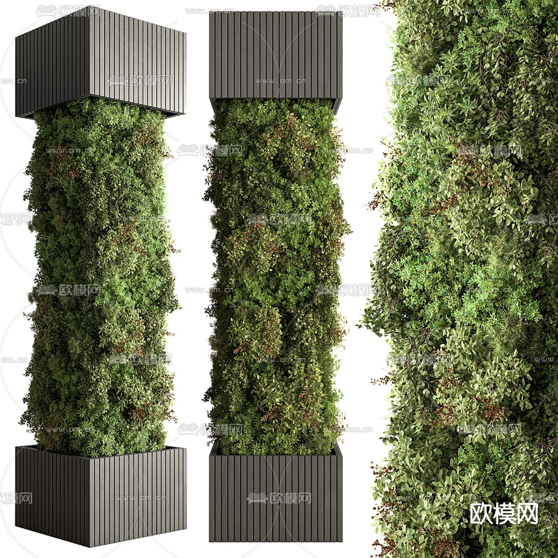 Tree 3D Models - Exterior and Architecture 3DS Max - 314