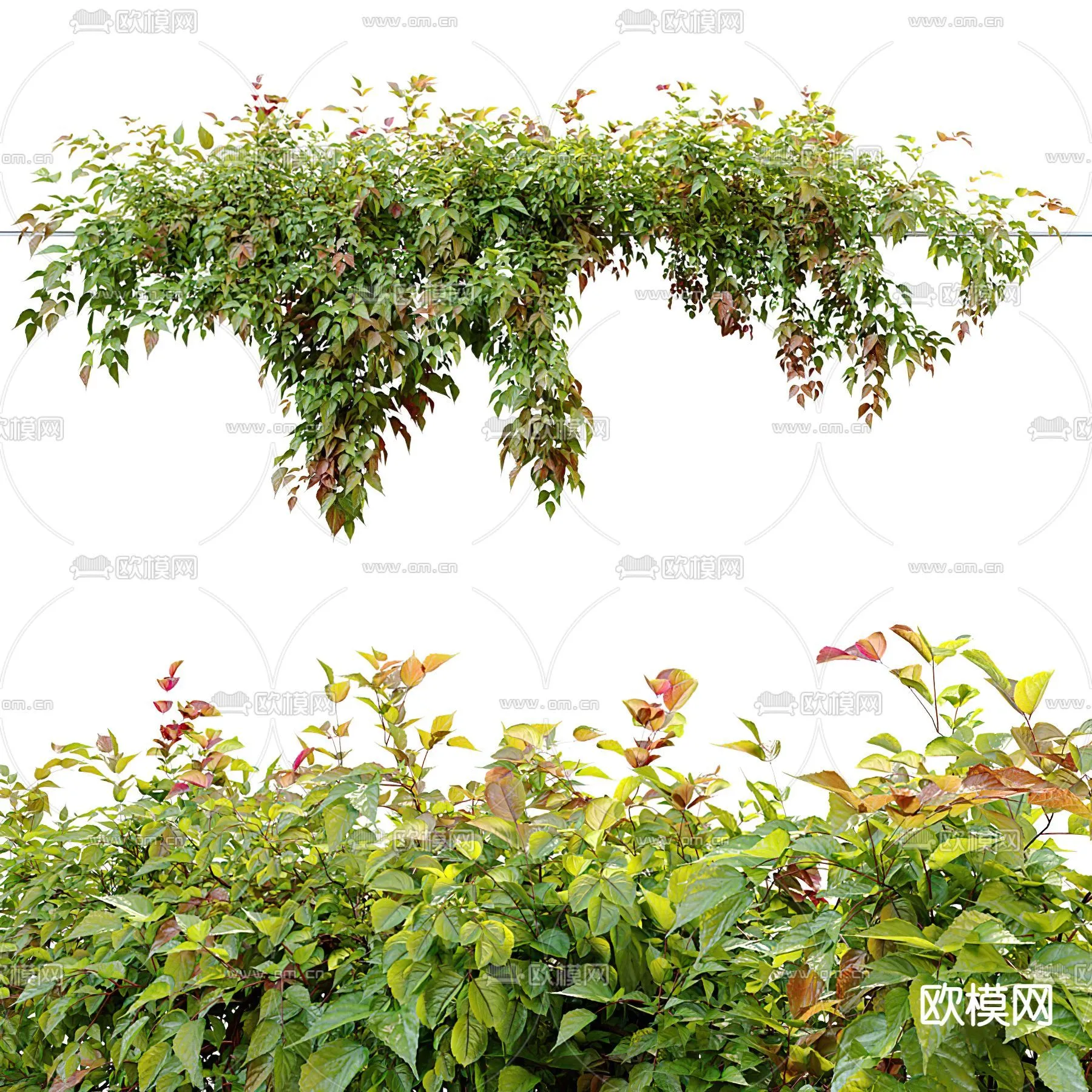 Tree 3D Models - Exterior and Architecture 3DS Max - 316
