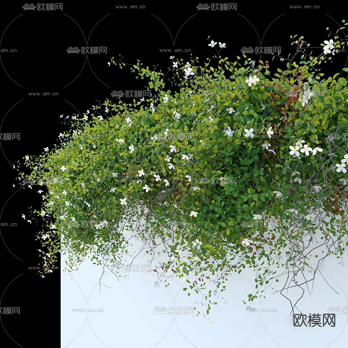 Tree 3D Models - Exterior and Architecture 3DS Max - 317