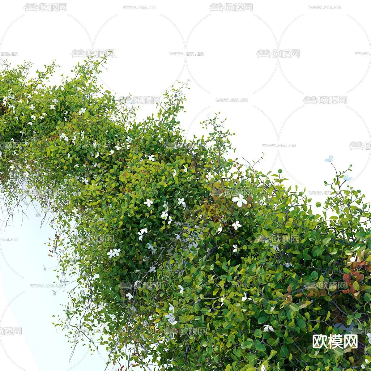 Tree 3D Models - Exterior and Architecture 3DS Max - 318