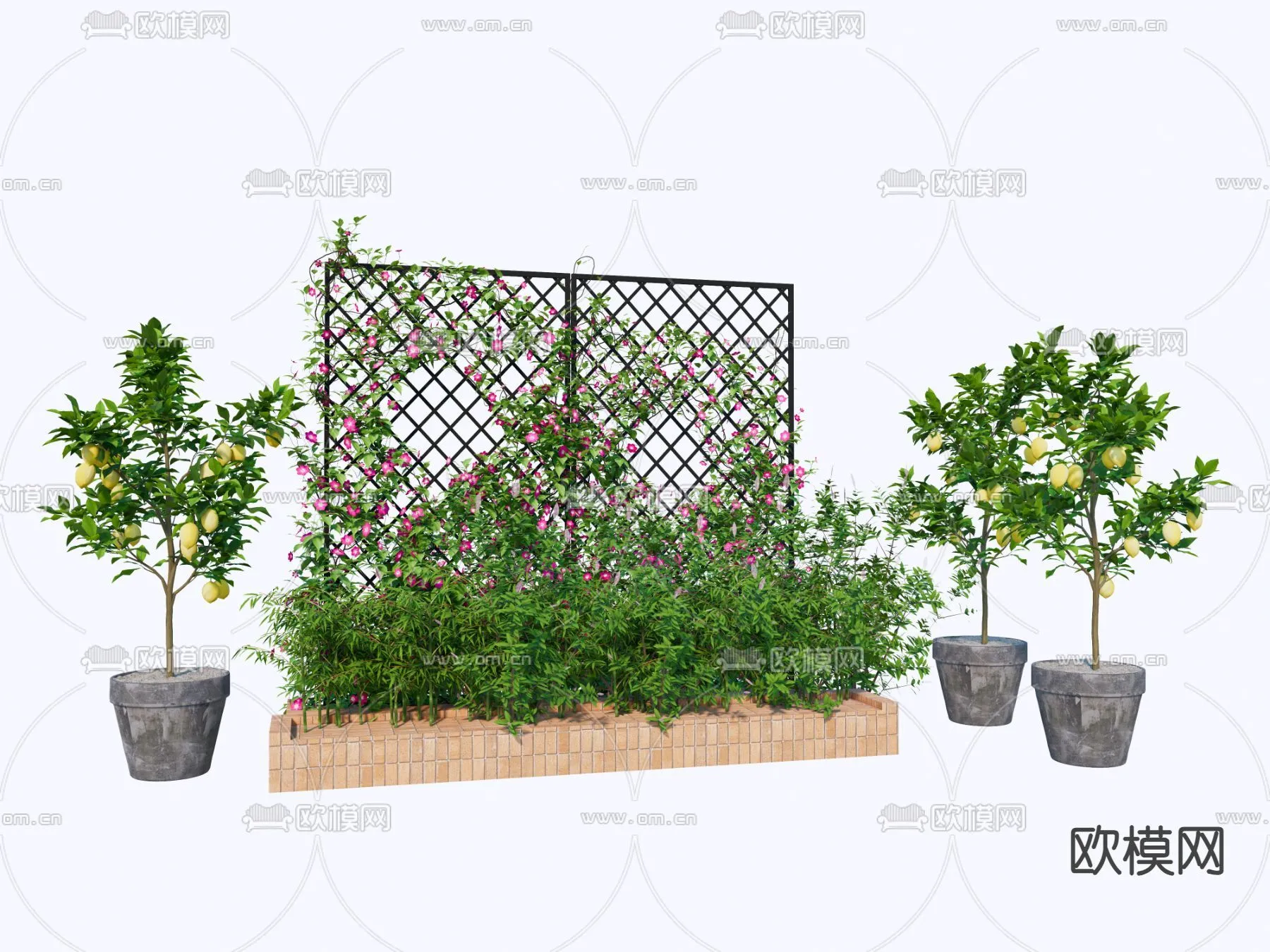 Tree 3D Models - Exterior and Architecture 3DS Max - 320