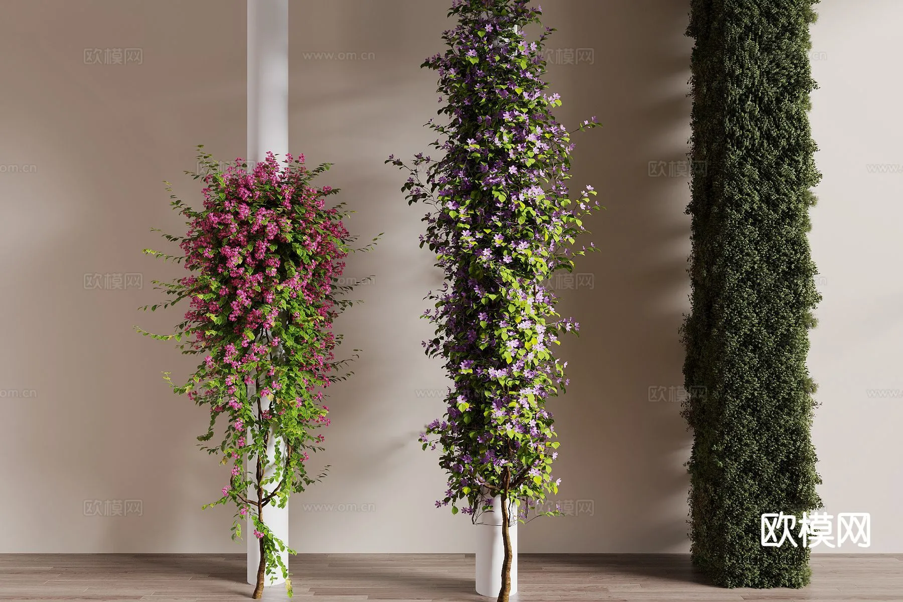 Tree 3D Models - Exterior and Architecture 3DS Max - 321